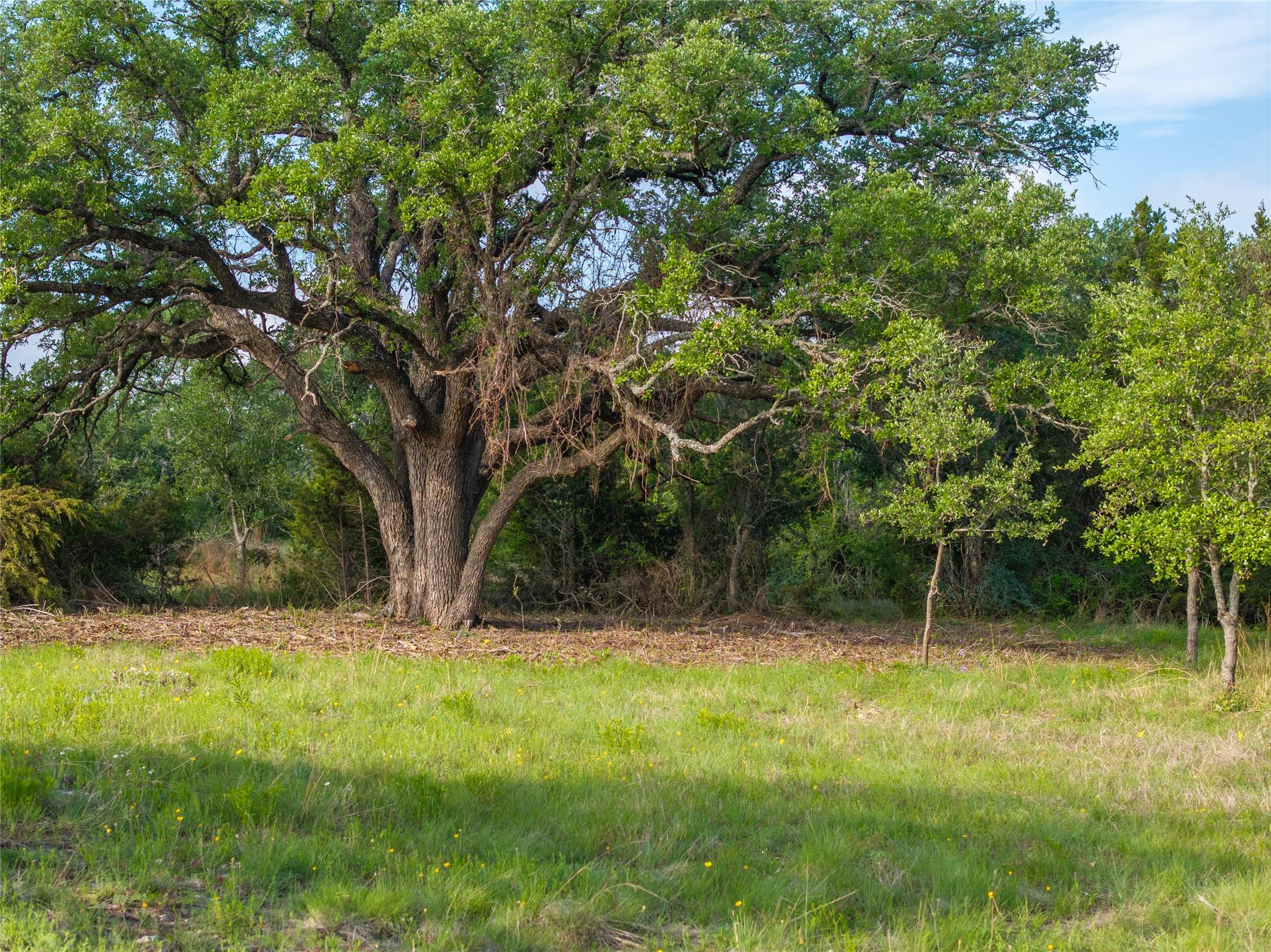 000 CR103, Burnet, TX 76550