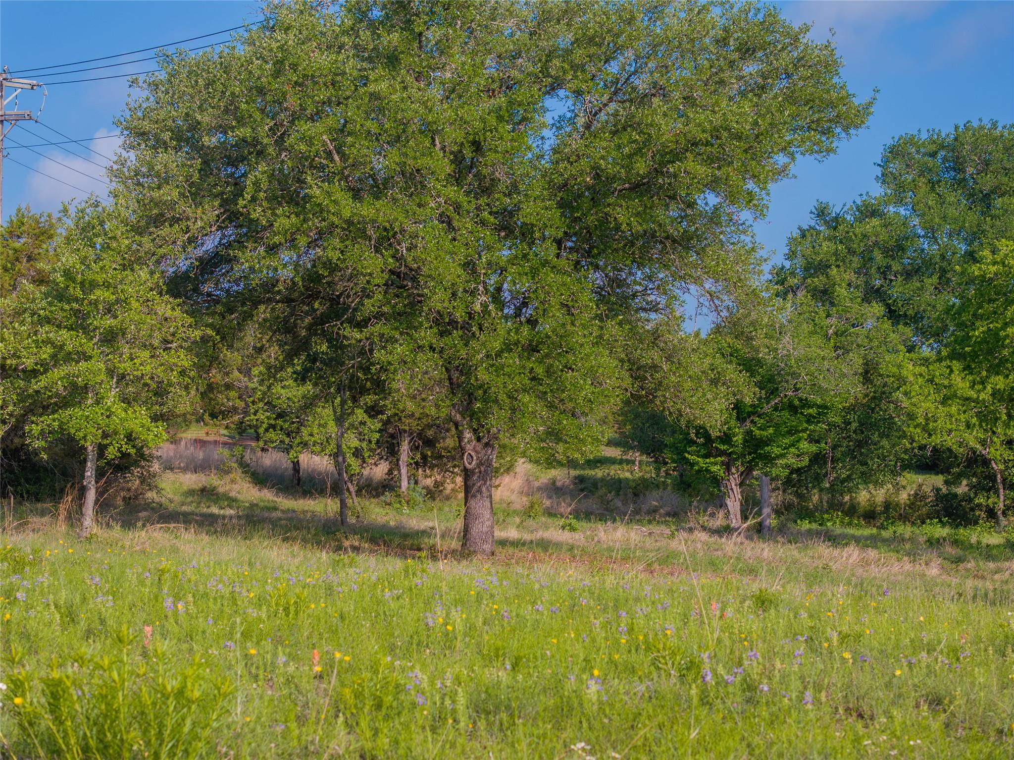 000 CR103, Burnet, TX 76550