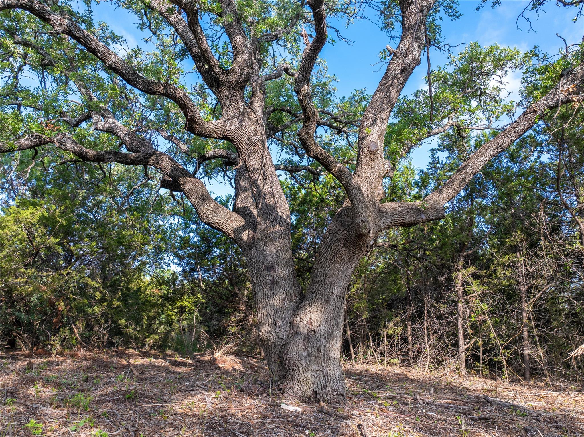 000 CR103, Burnet, TX 76550