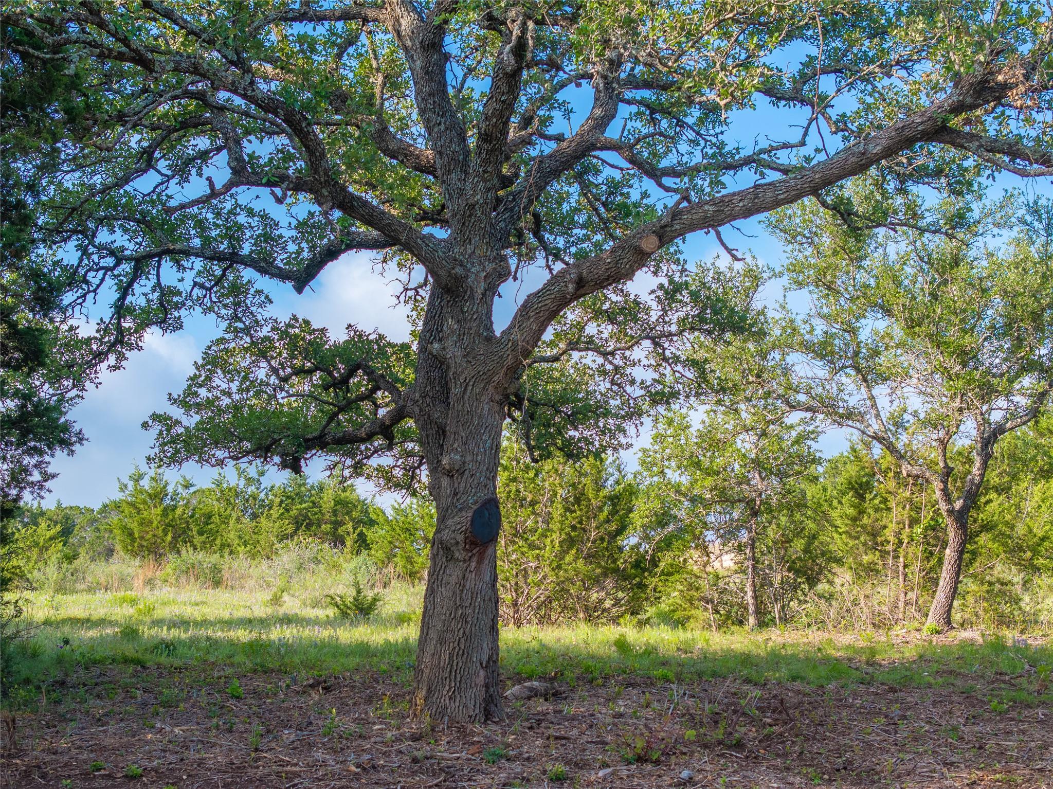 000 CR103, Burnet, TX 76550