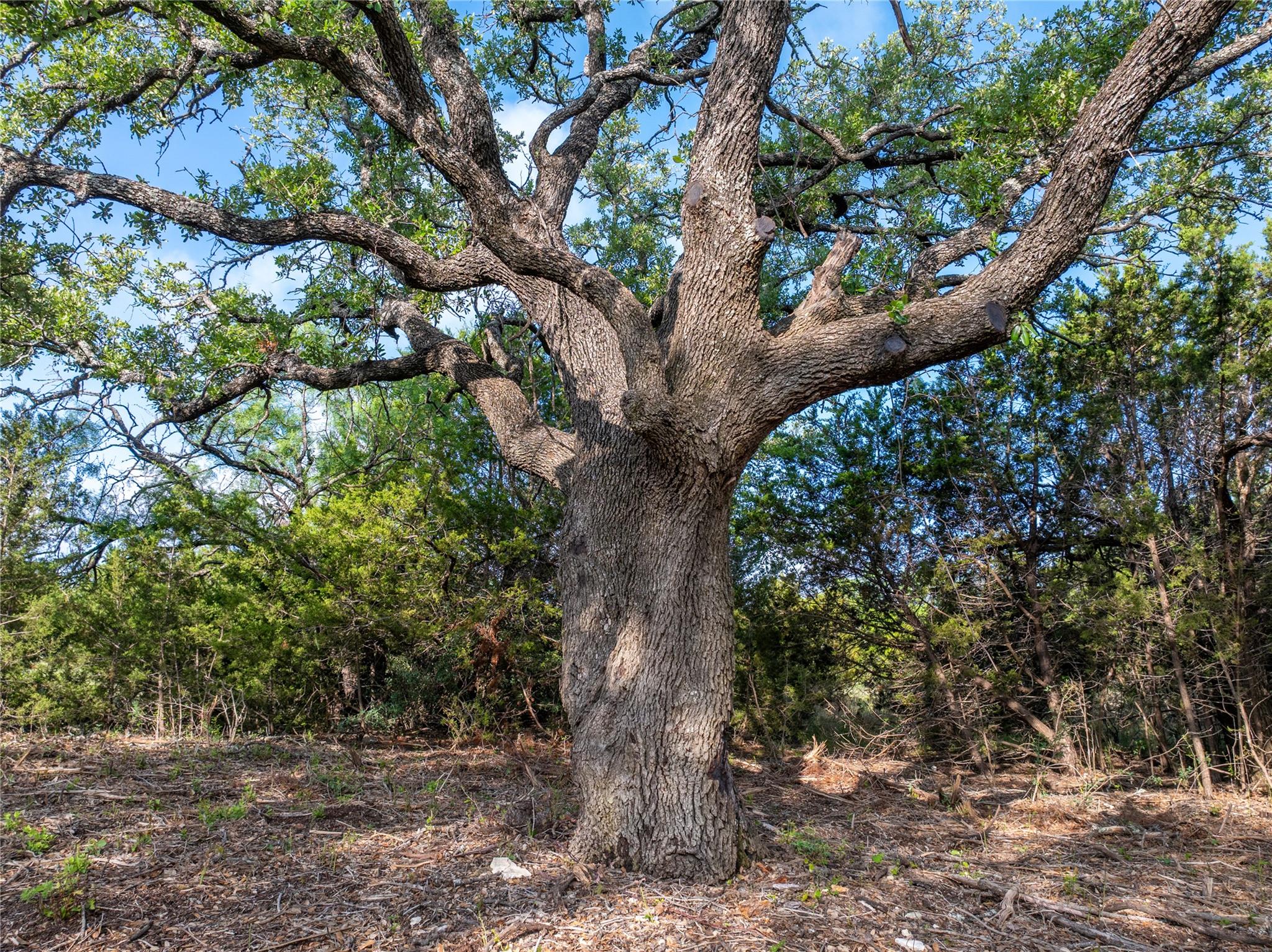 000 CR103, Burnet, TX 76550
