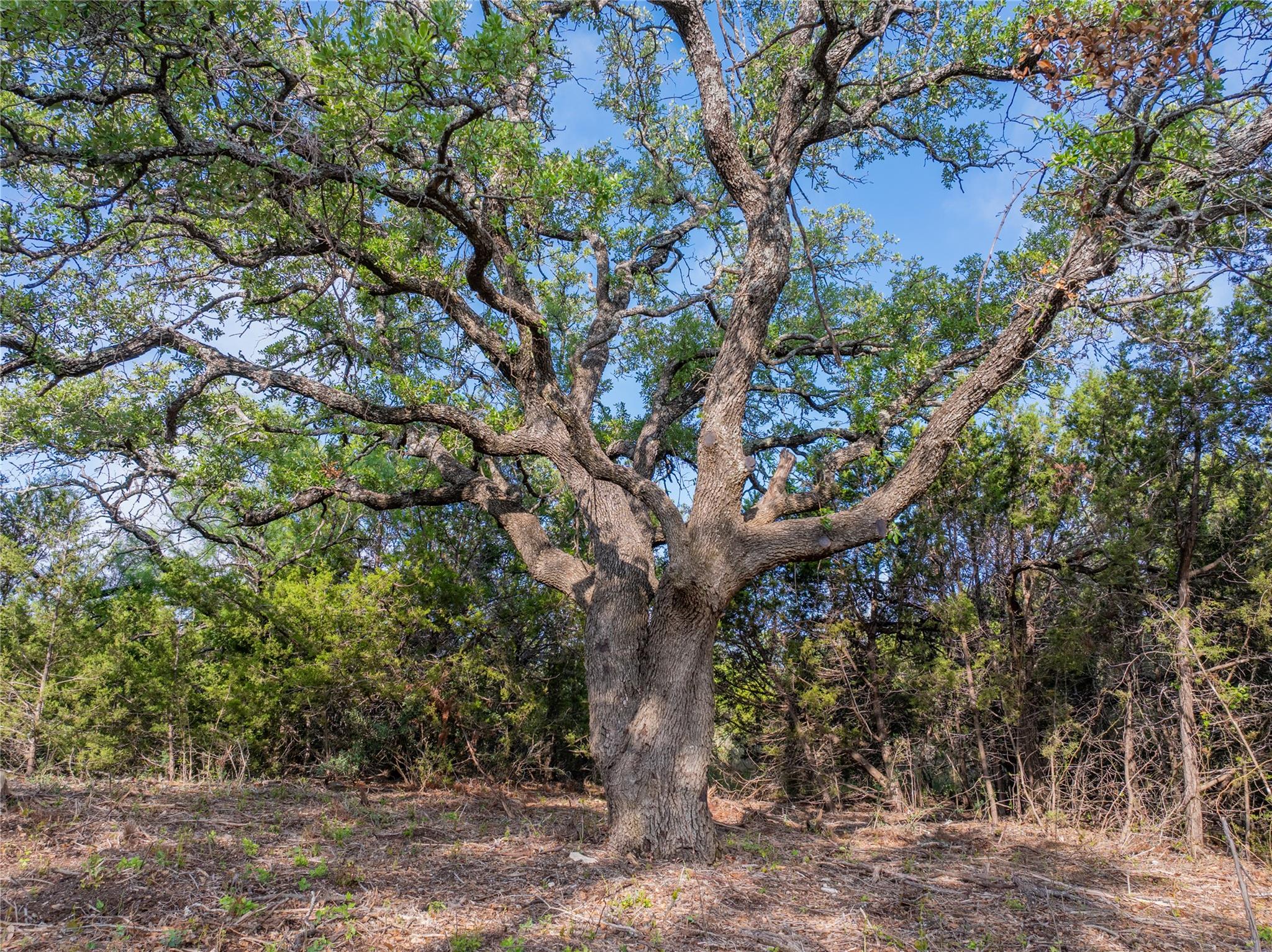 000 CR103, Burnet, TX 76550
