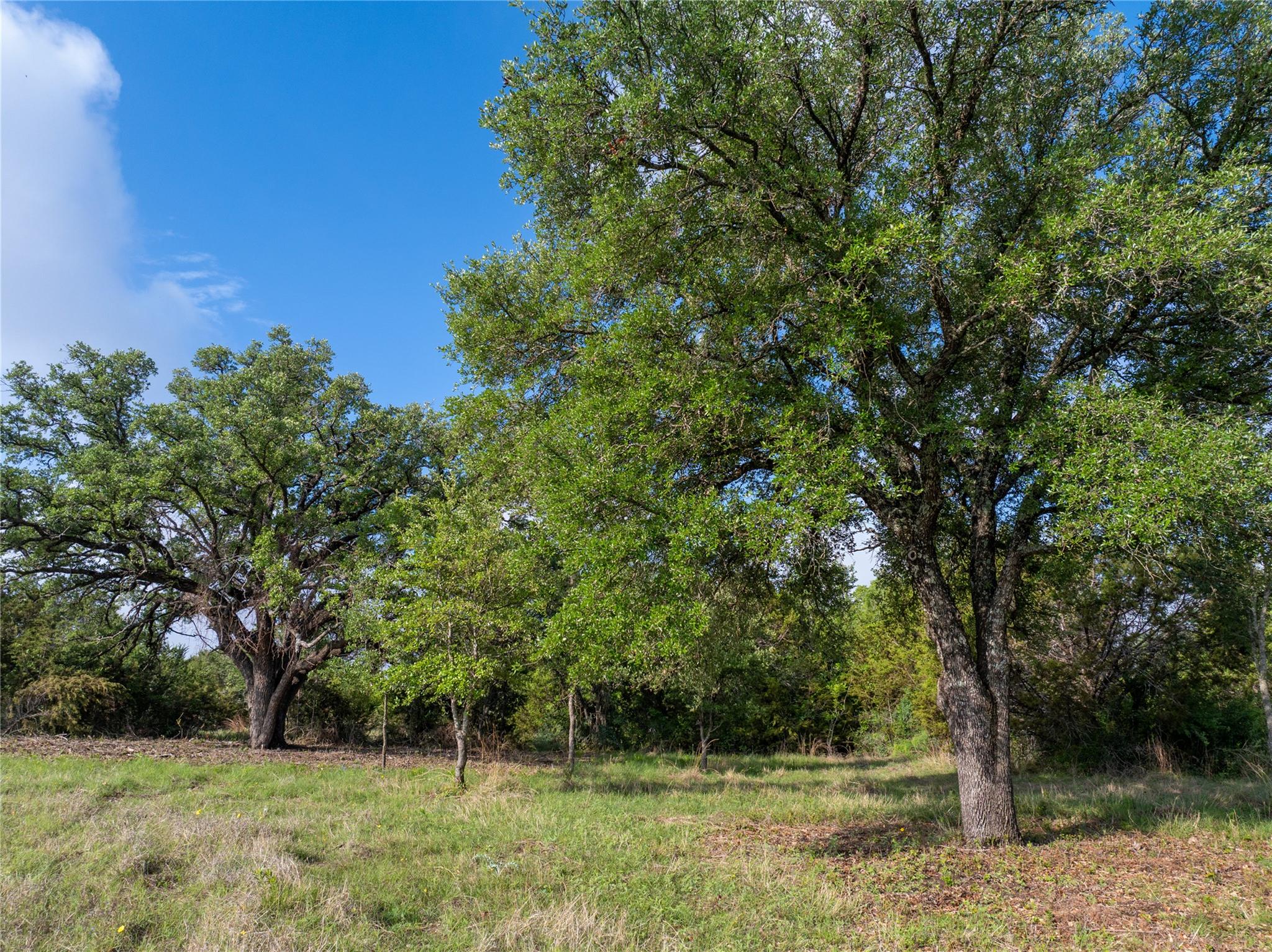 000 CR103, Burnet, TX 76550