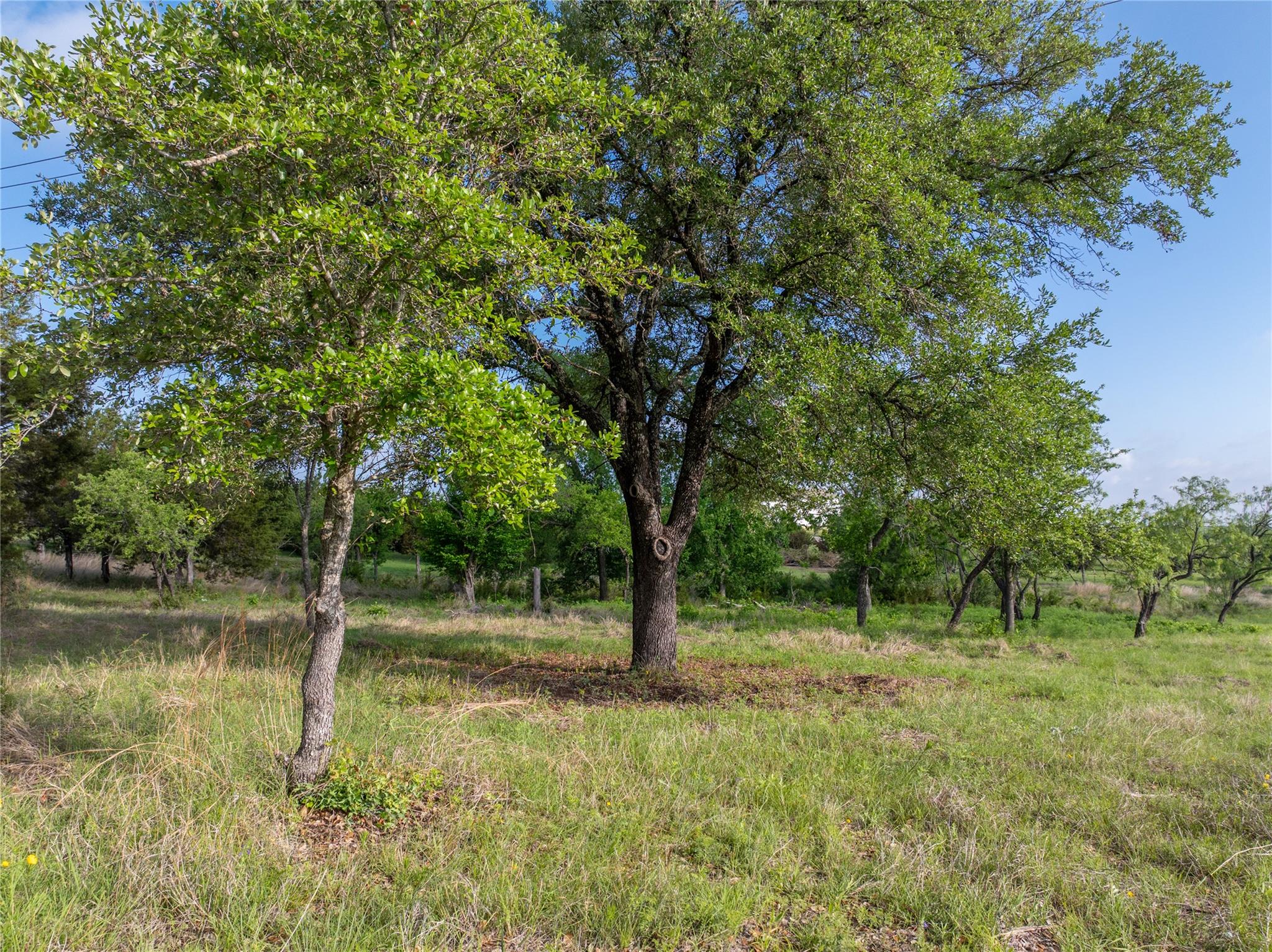000 CR103, Burnet, TX 76550