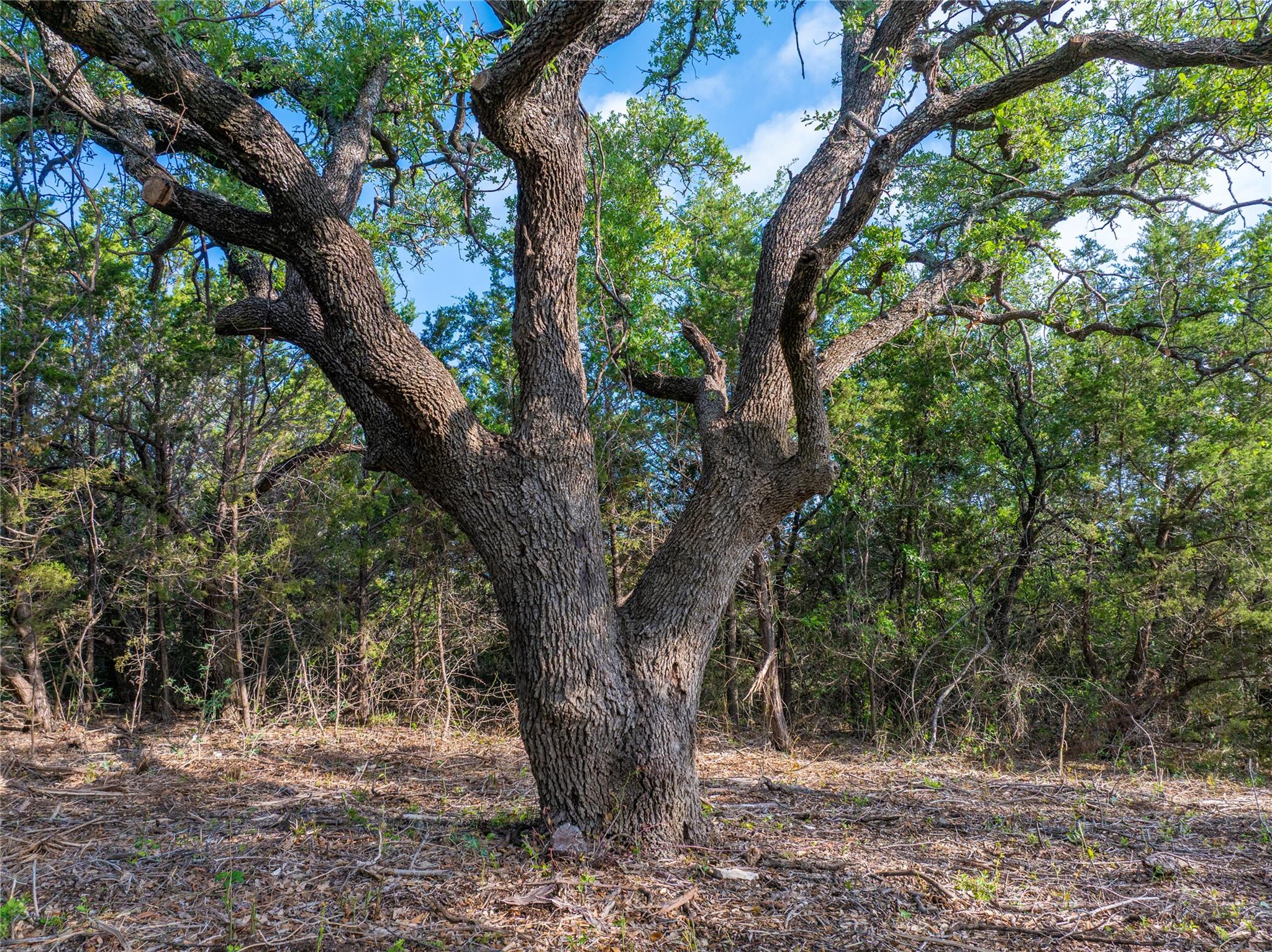 000 CR103, Burnet, TX 76550