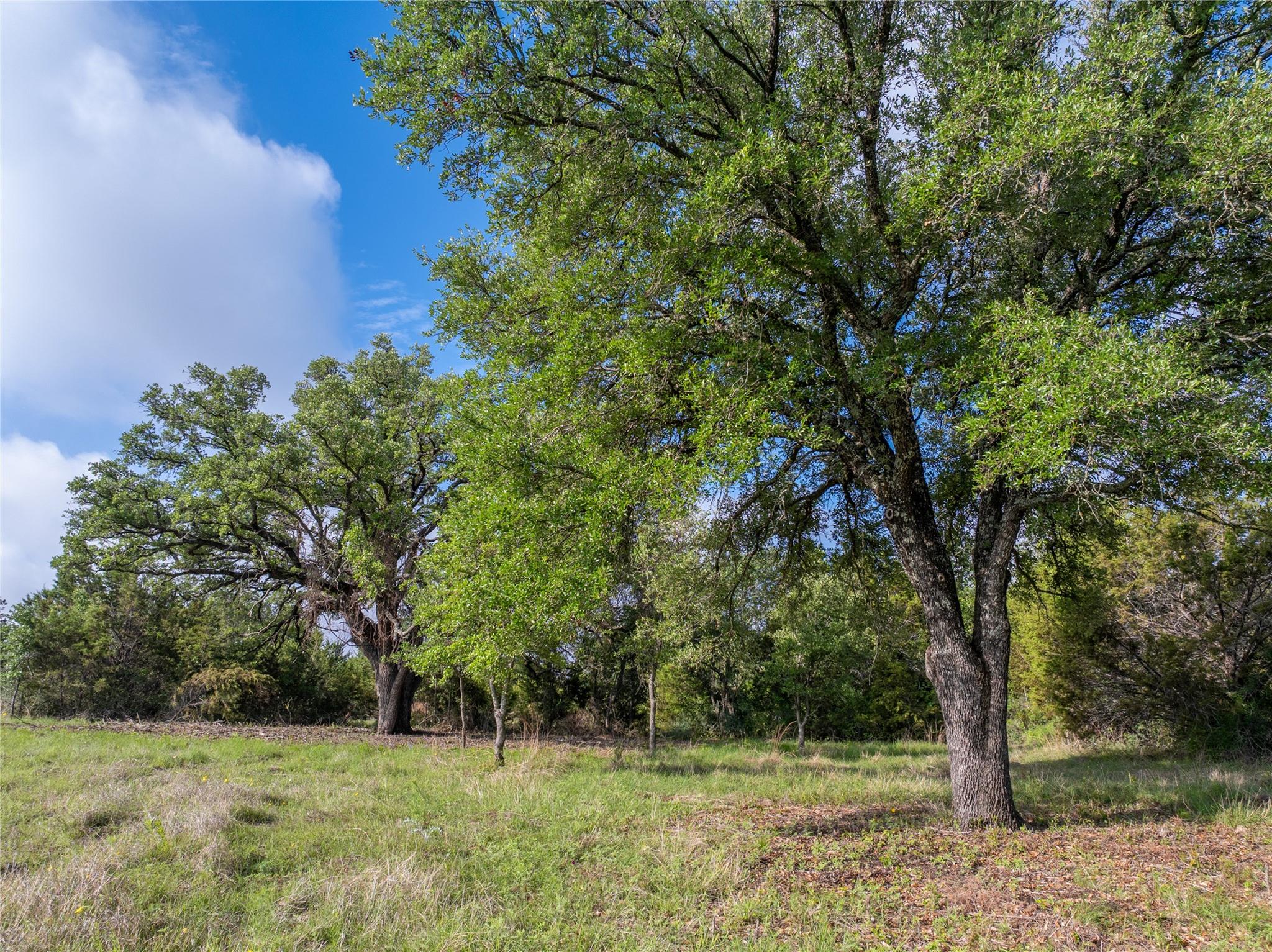 000 CR103, Burnet, TX 76550