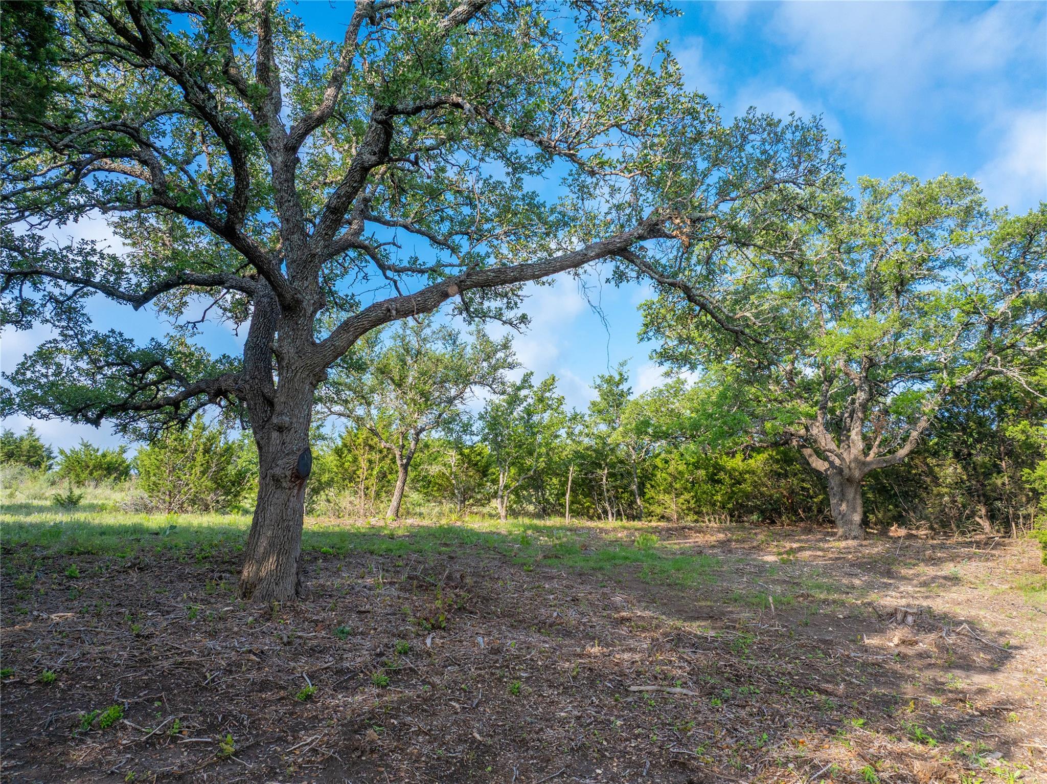 000 CR103, Burnet, TX 76550