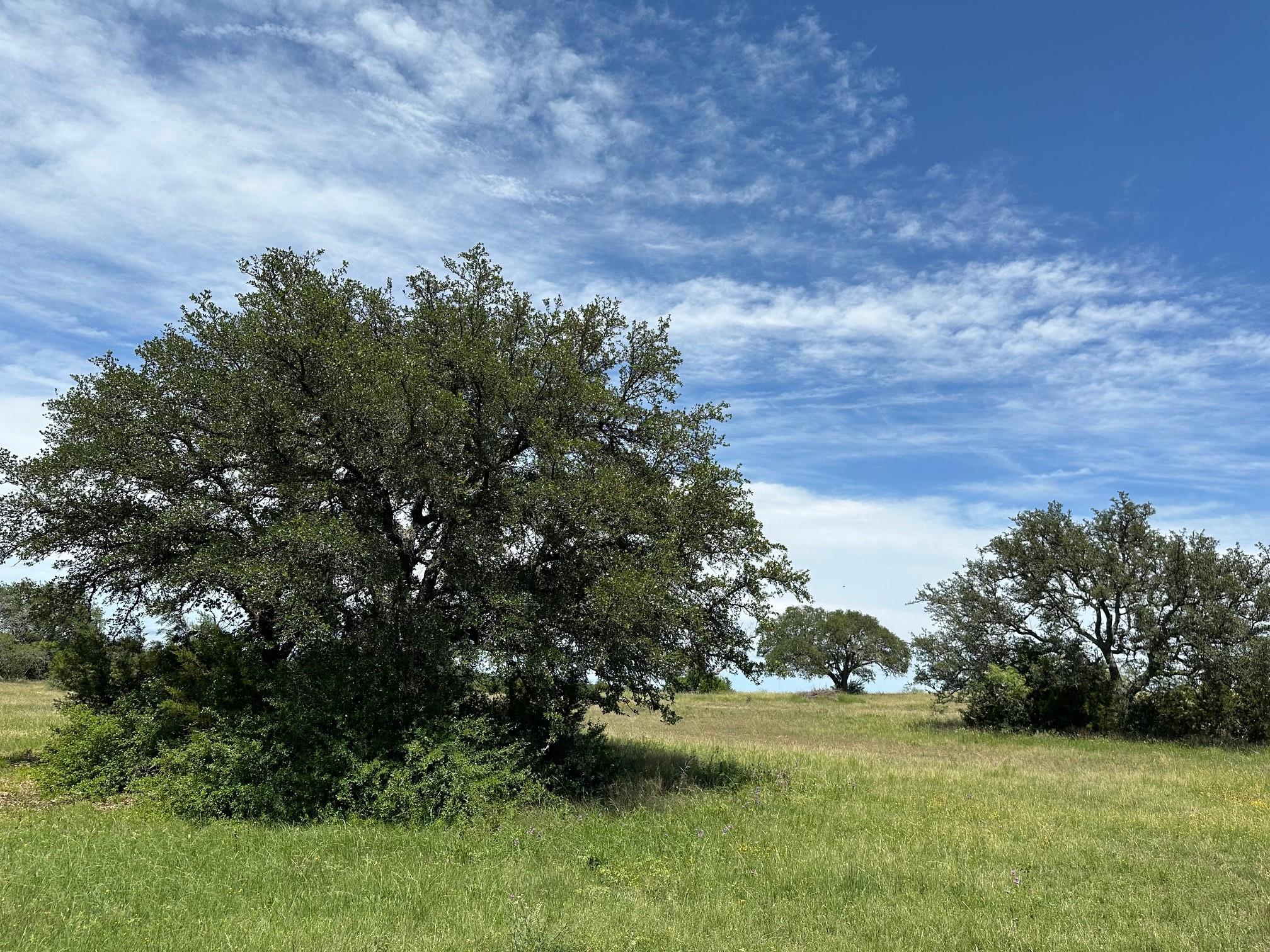23 acres County Road 330, Bertram, TX 78605
