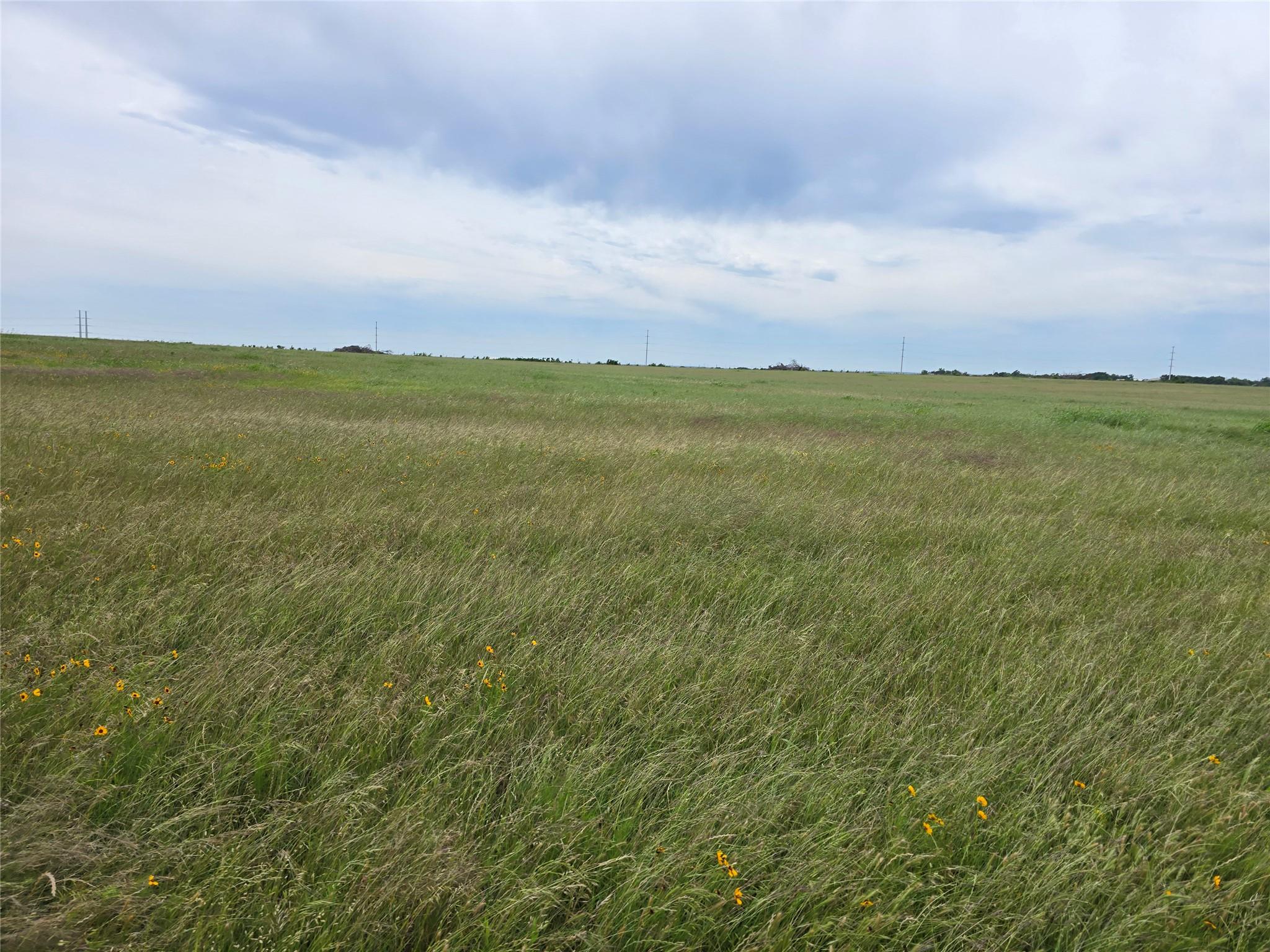 1401 CR 144, Jarrell, TX 76537