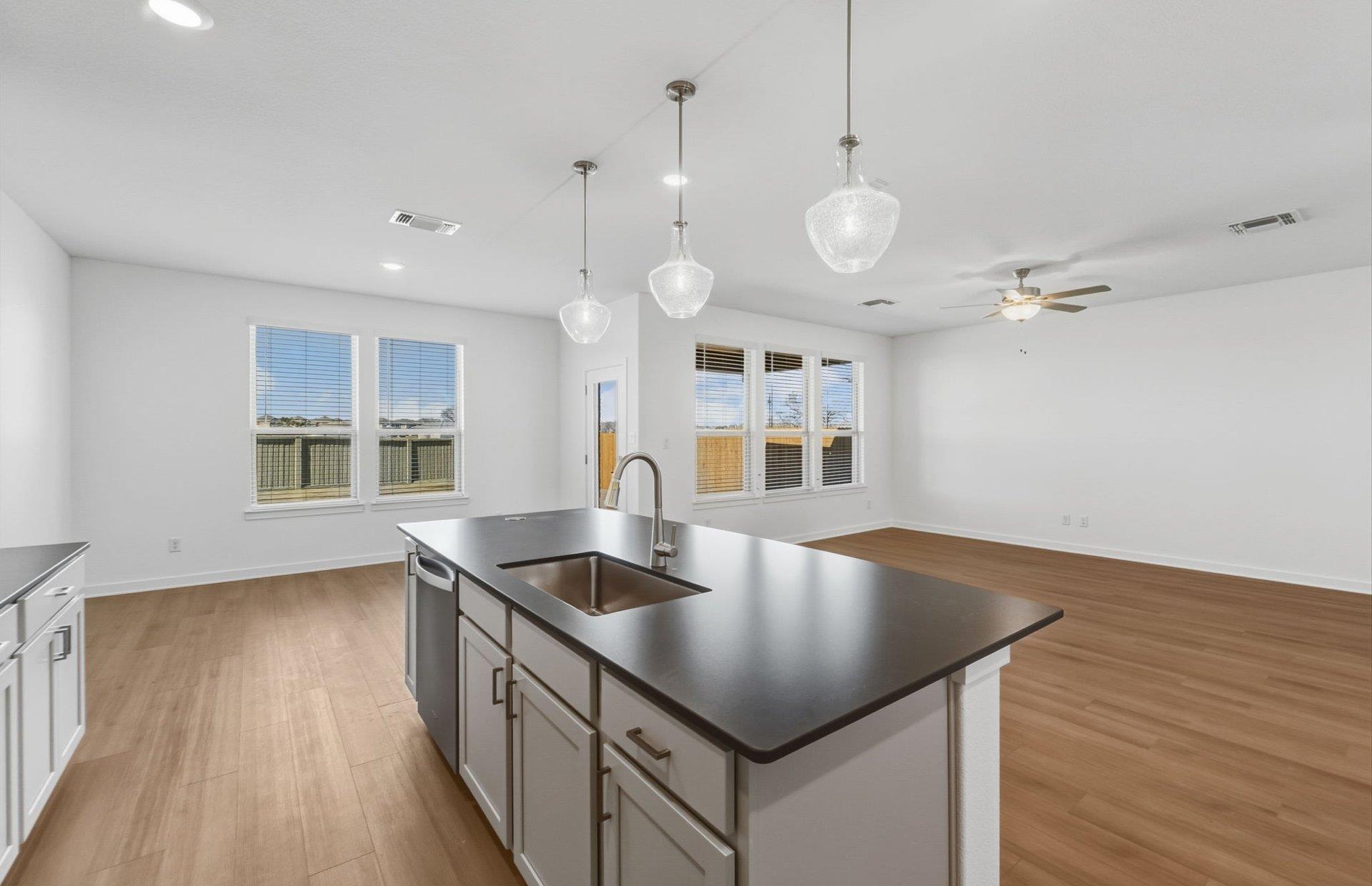507 Eliese Cv, Liberty Hill, TX 78642