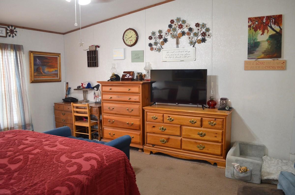 218 Texas Oak Dr, Cedar Creek, TX 78612