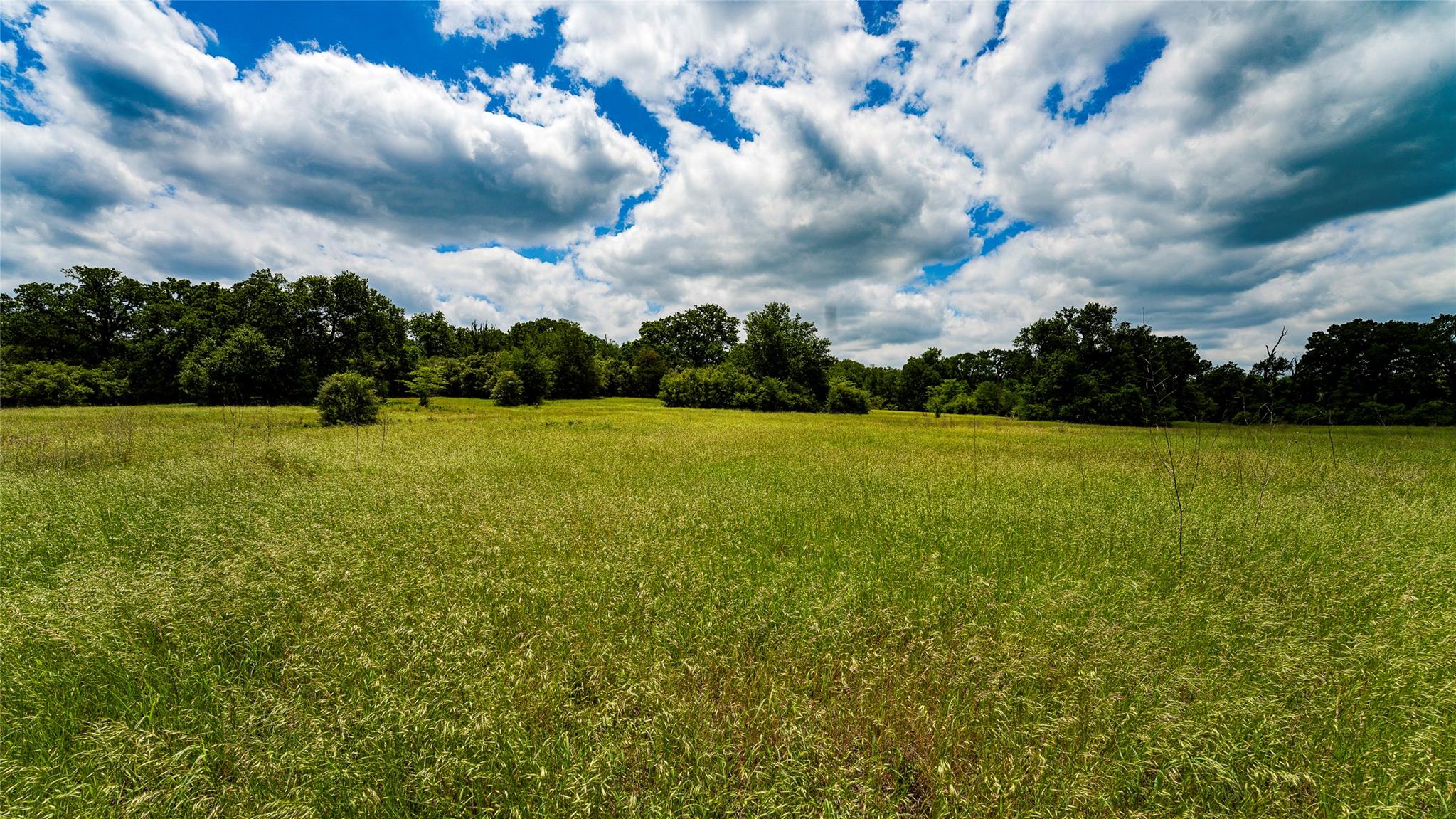 0000 CR 413, Lexington, TX 78947