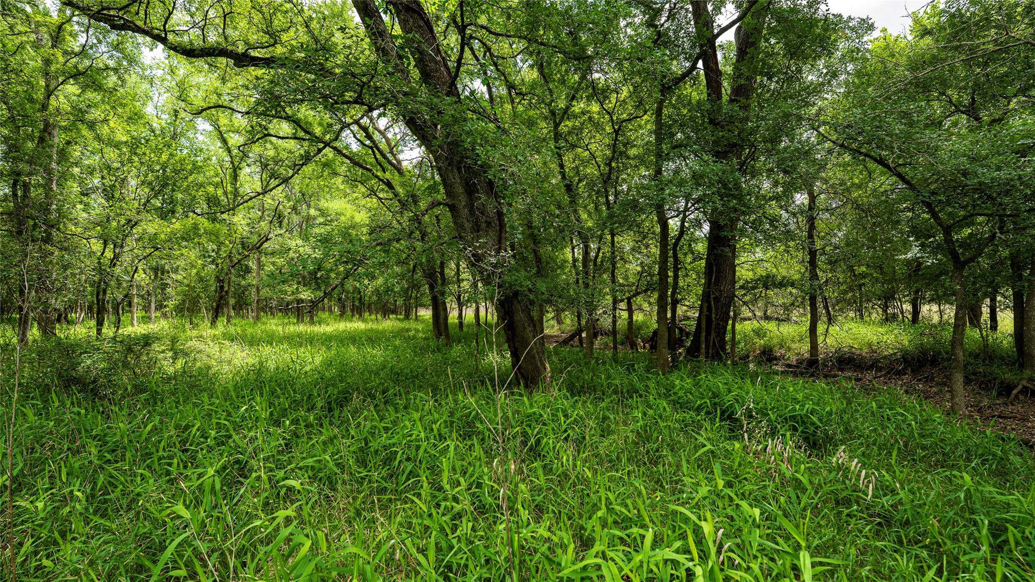 0000 CR 413, Lexington, TX 78947
