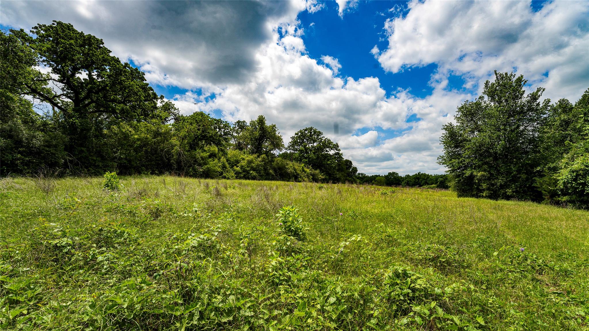0000 CR 413, Lexington, TX 78947