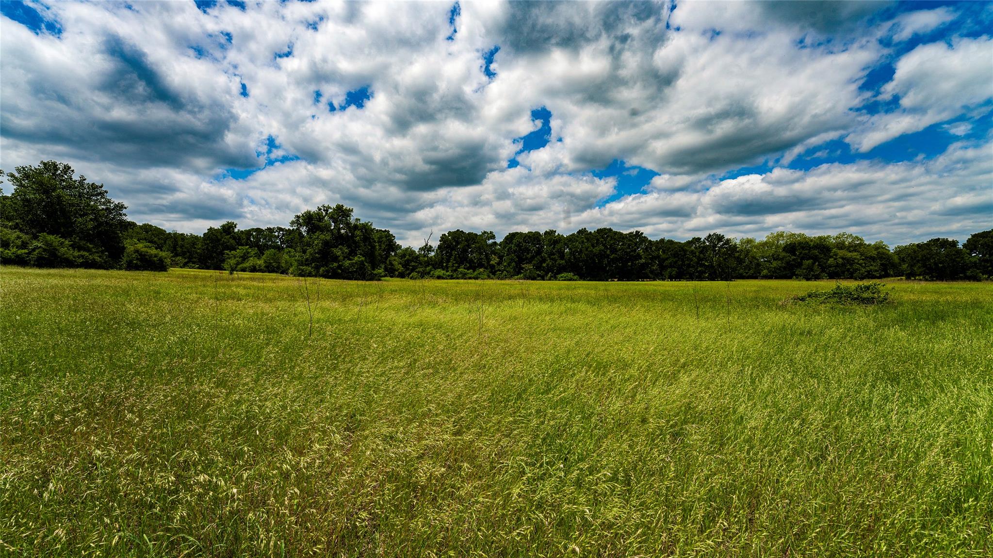 0000 CR 413, Lexington, TX 78947