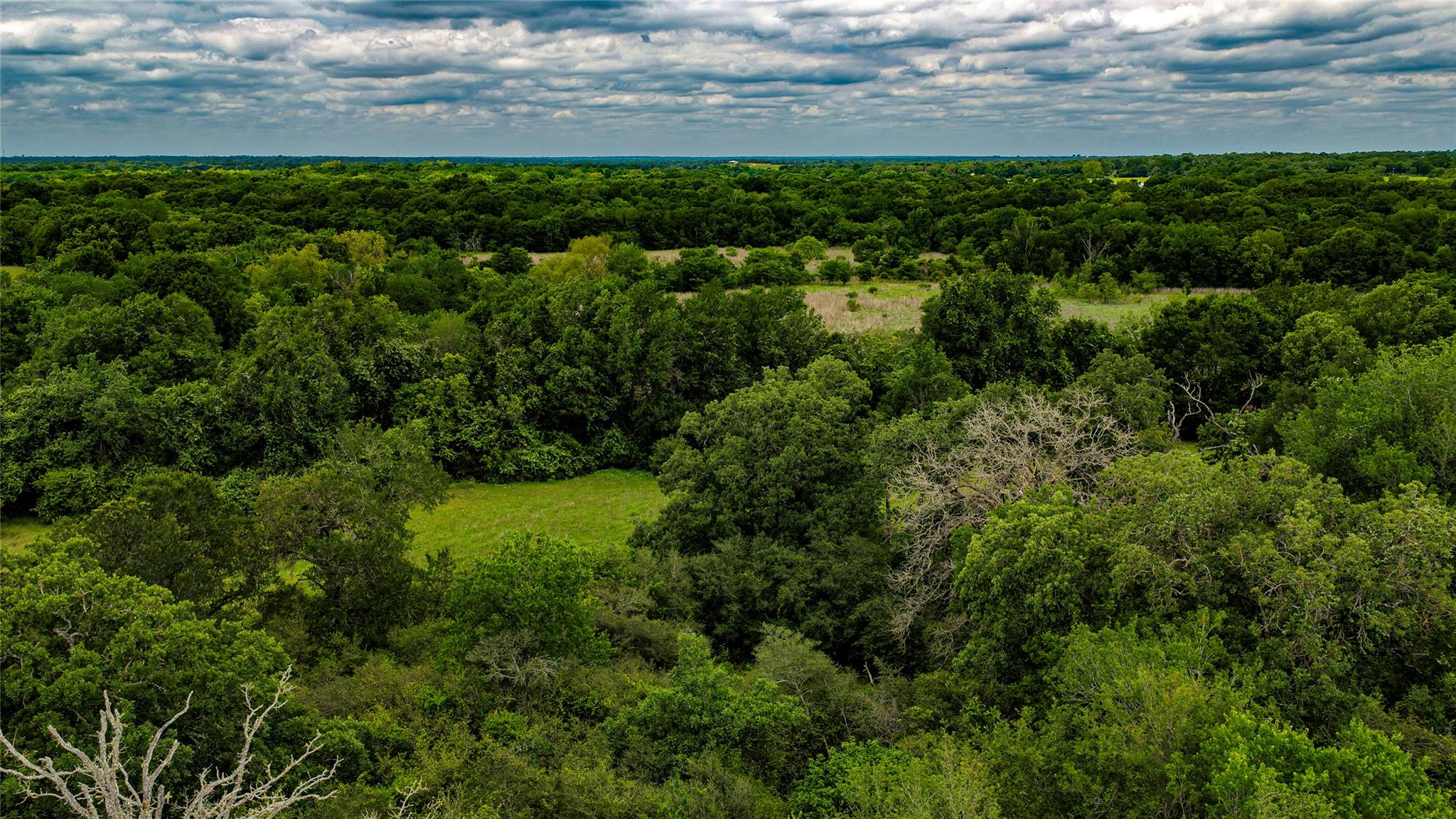 0000 CR 413, Lexington, TX 78947