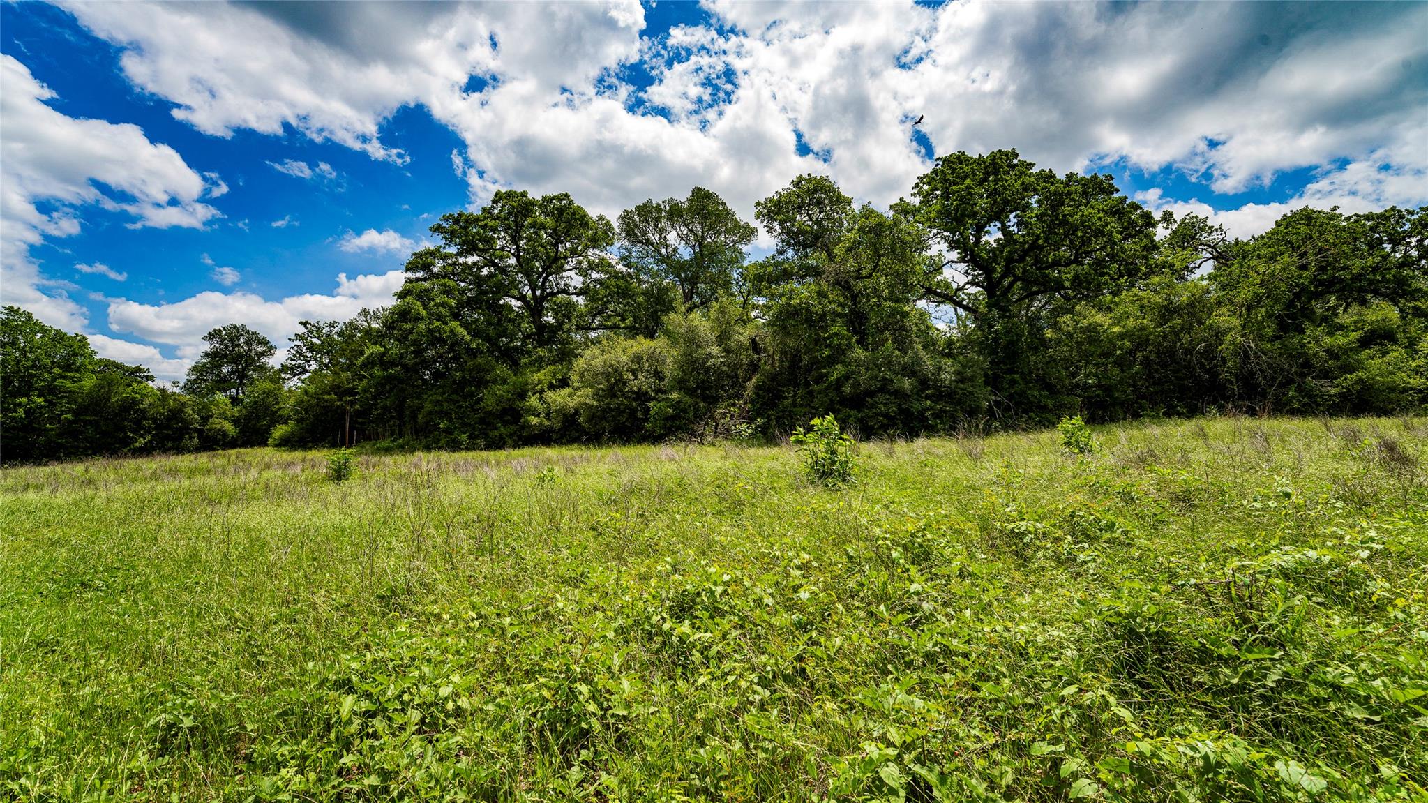 0000 CR 413, Lexington, TX 78947