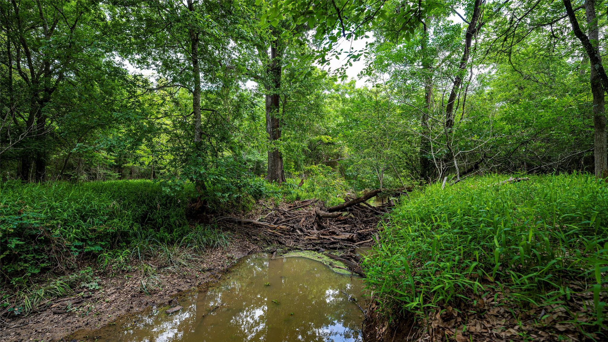 0000 CR 413, Lexington, TX 78947