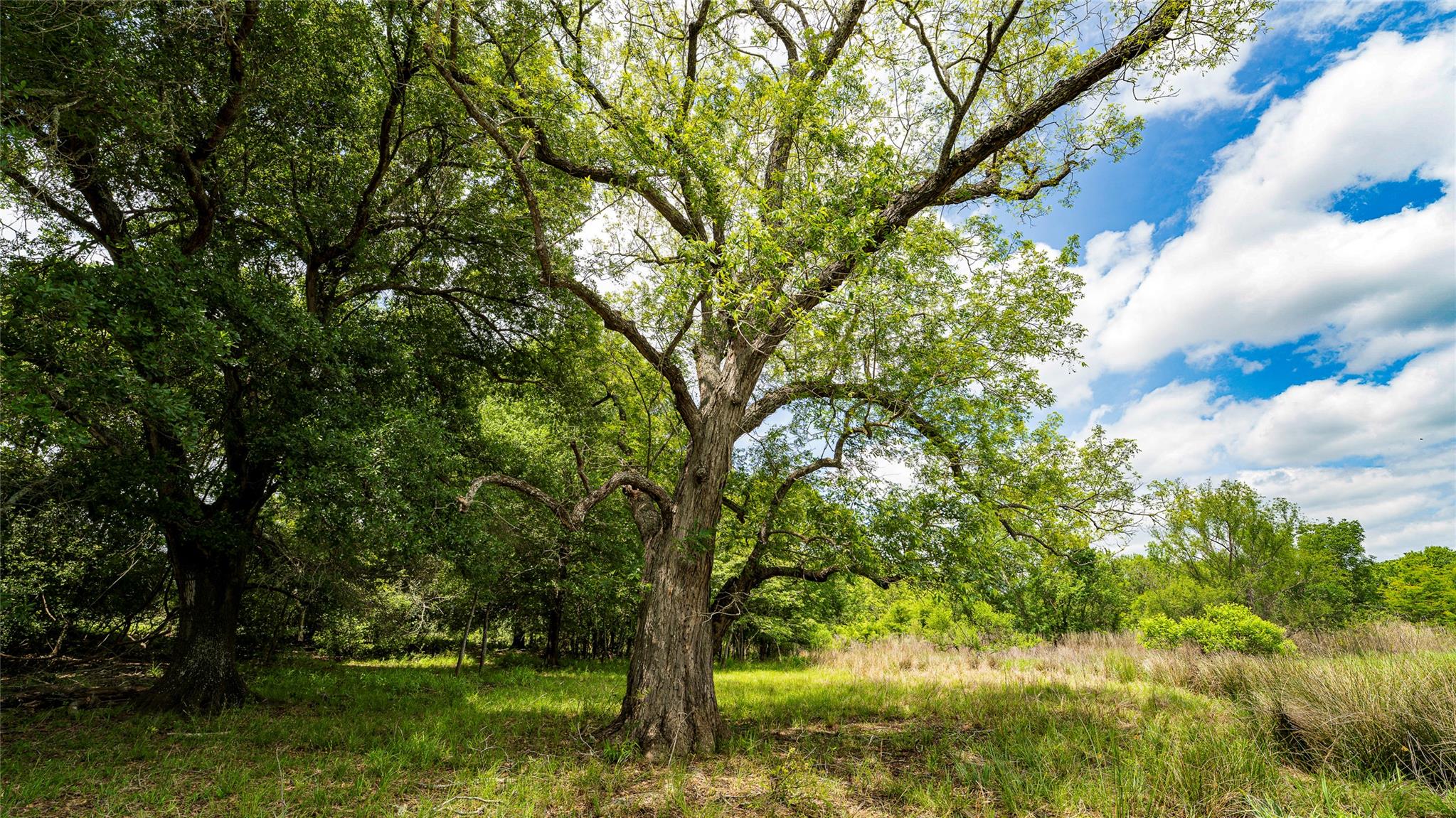 0000 CR 413, Lexington, TX 78947