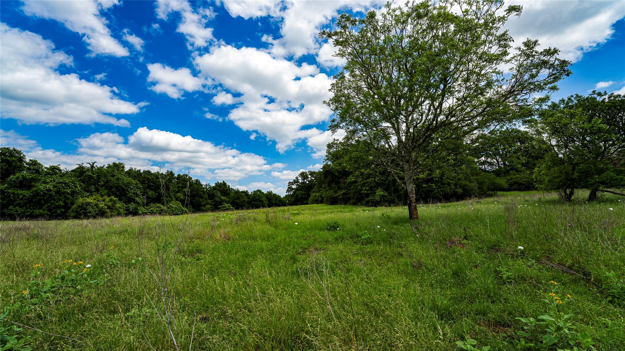 0000 CR 413, Lexington, TX 78947