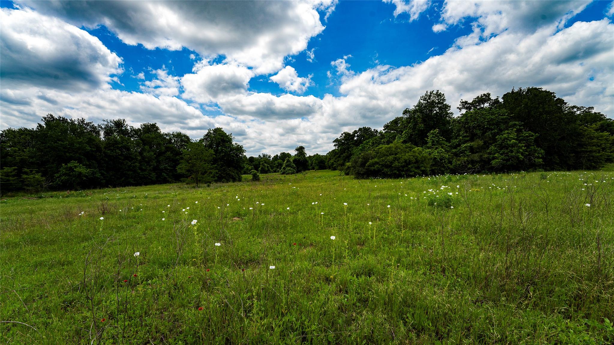 0000 CR 413, Lexington, TX 78947