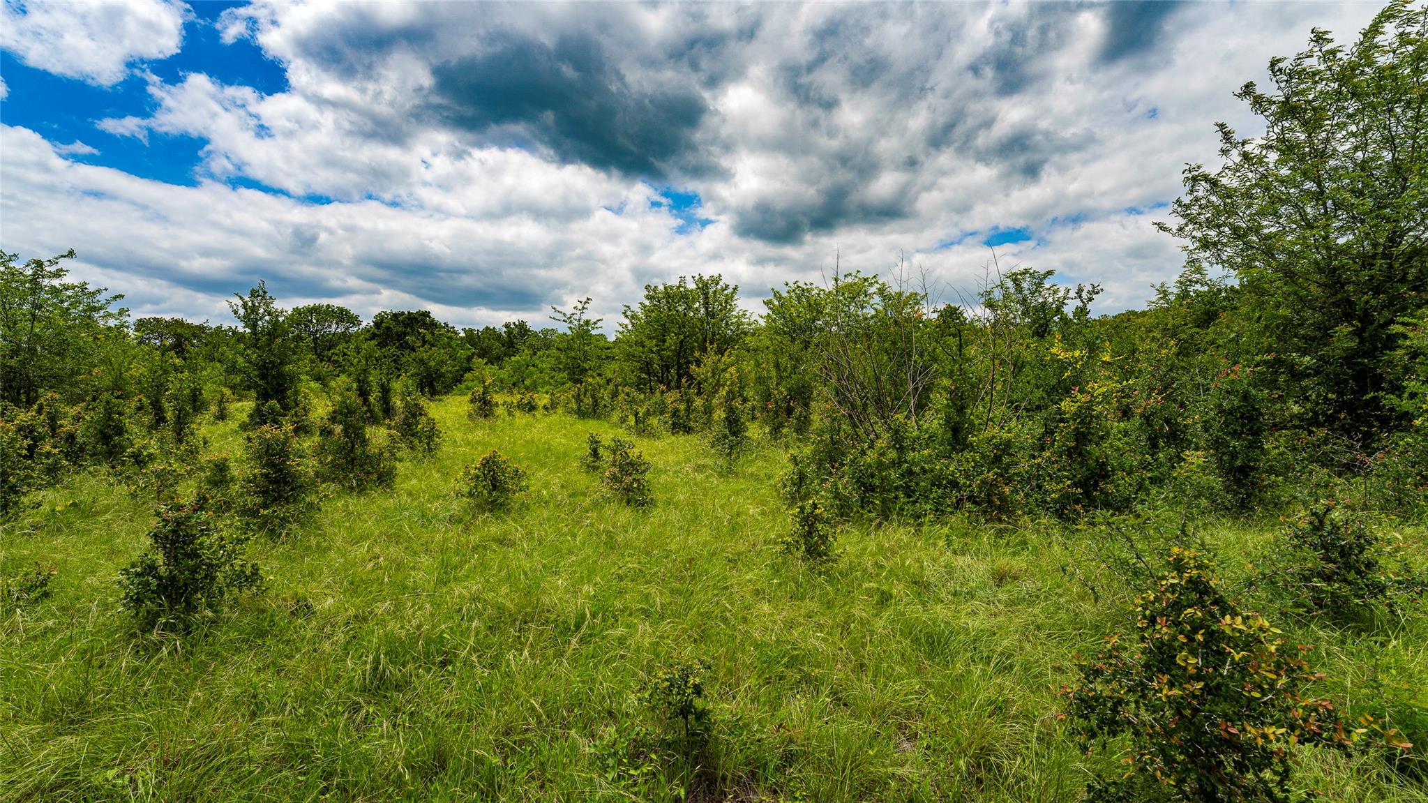 0000 CR 413, Lexington, TX 78947