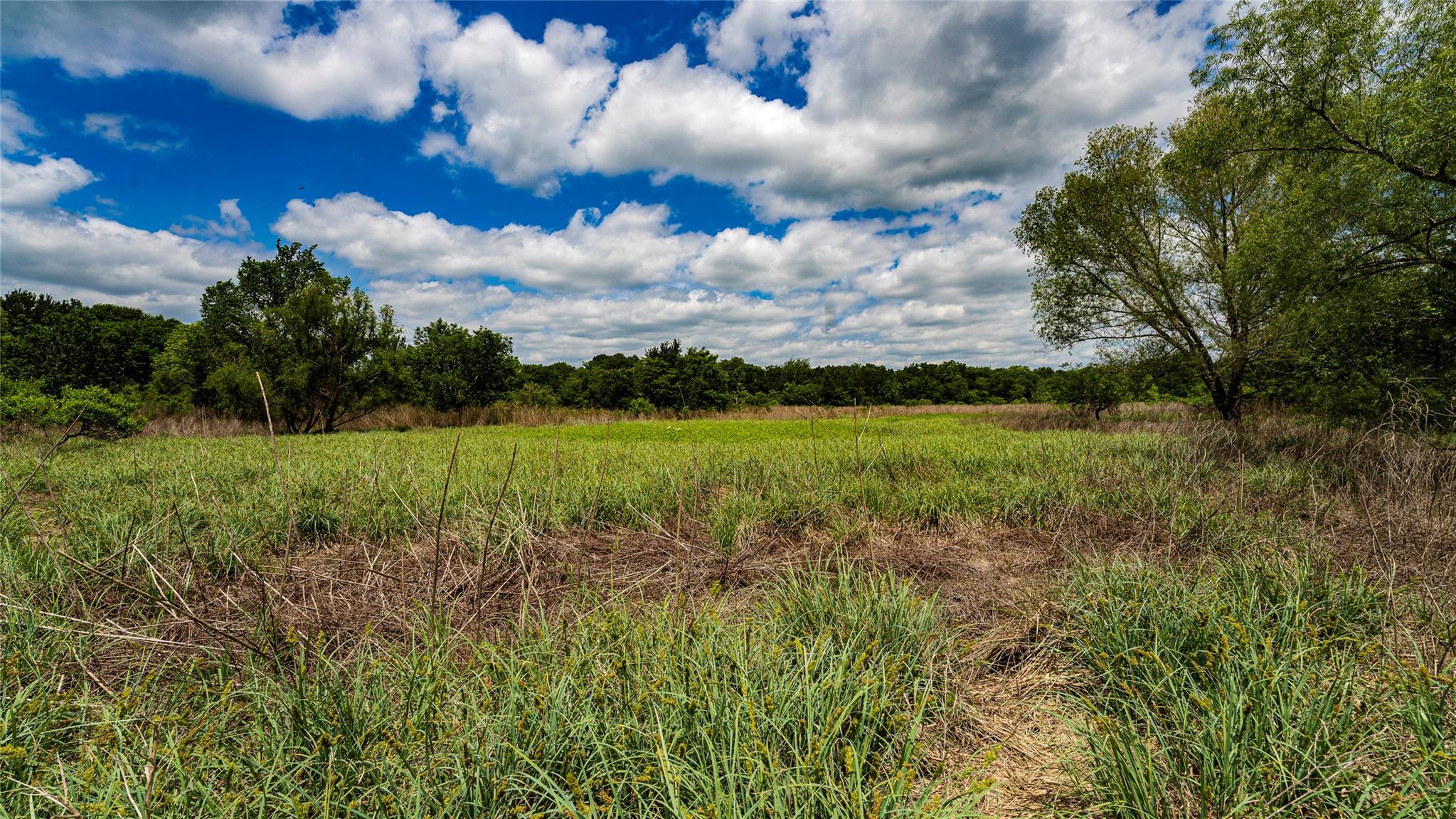 0000 CR 413, Lexington, TX 78947