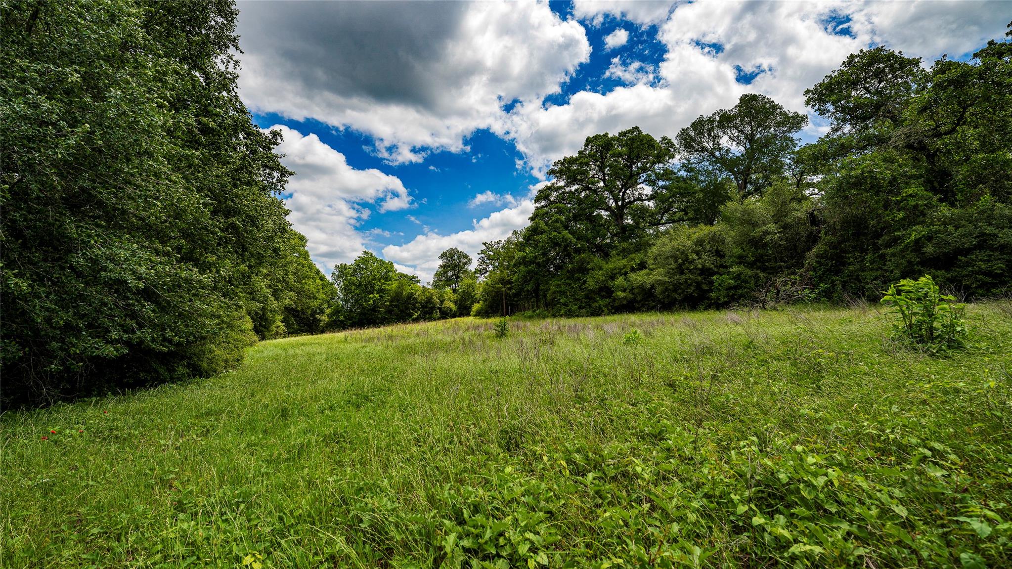 0000 CR 413, Lexington, TX 78947