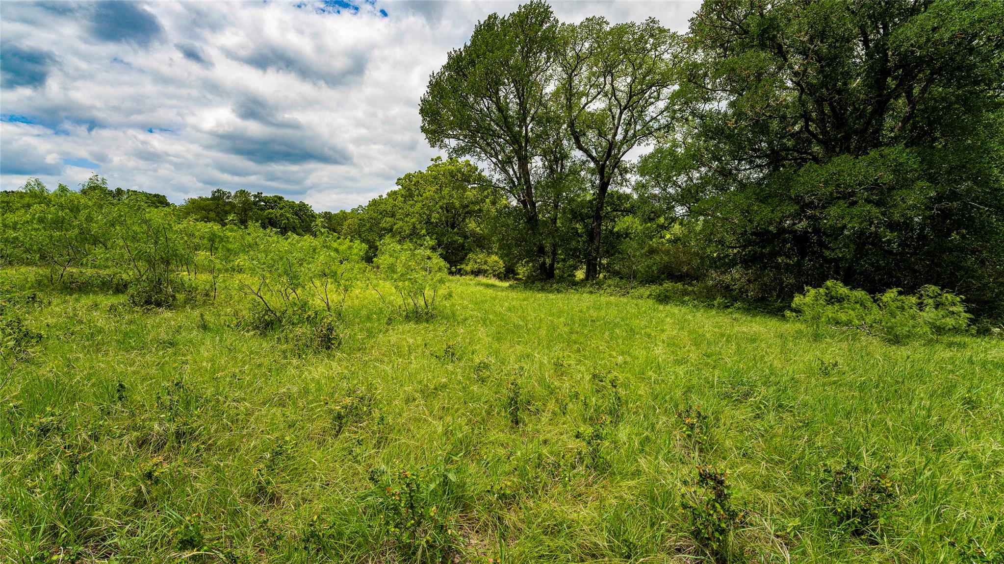 0000 CR 413, Lexington, TX 78947