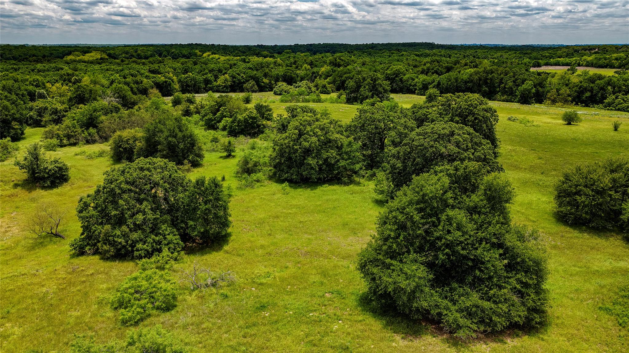 ESMT County Road 302, Rockdale, TX 78947