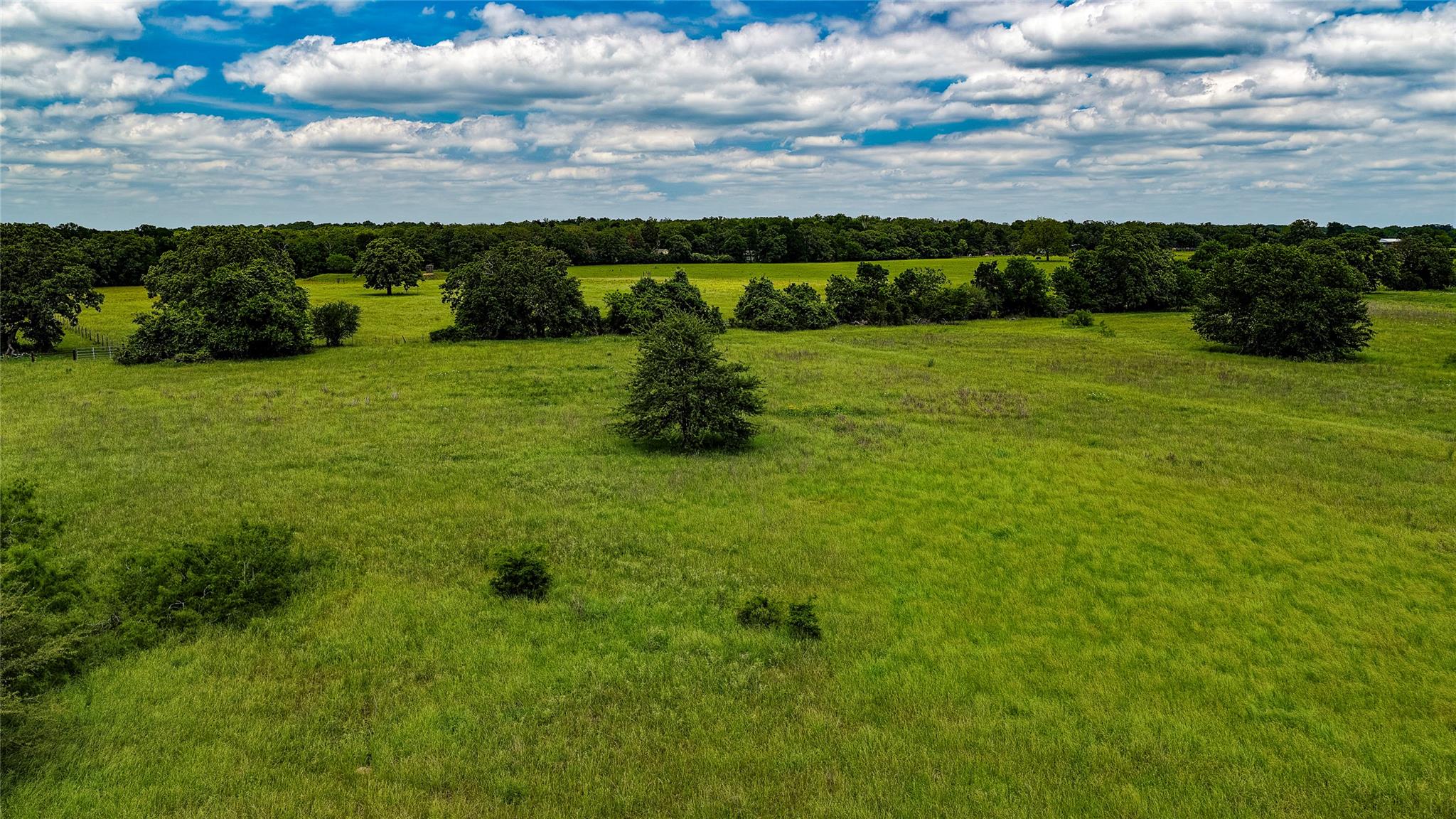 ESMT County Road 302, Rockdale, TX 78947