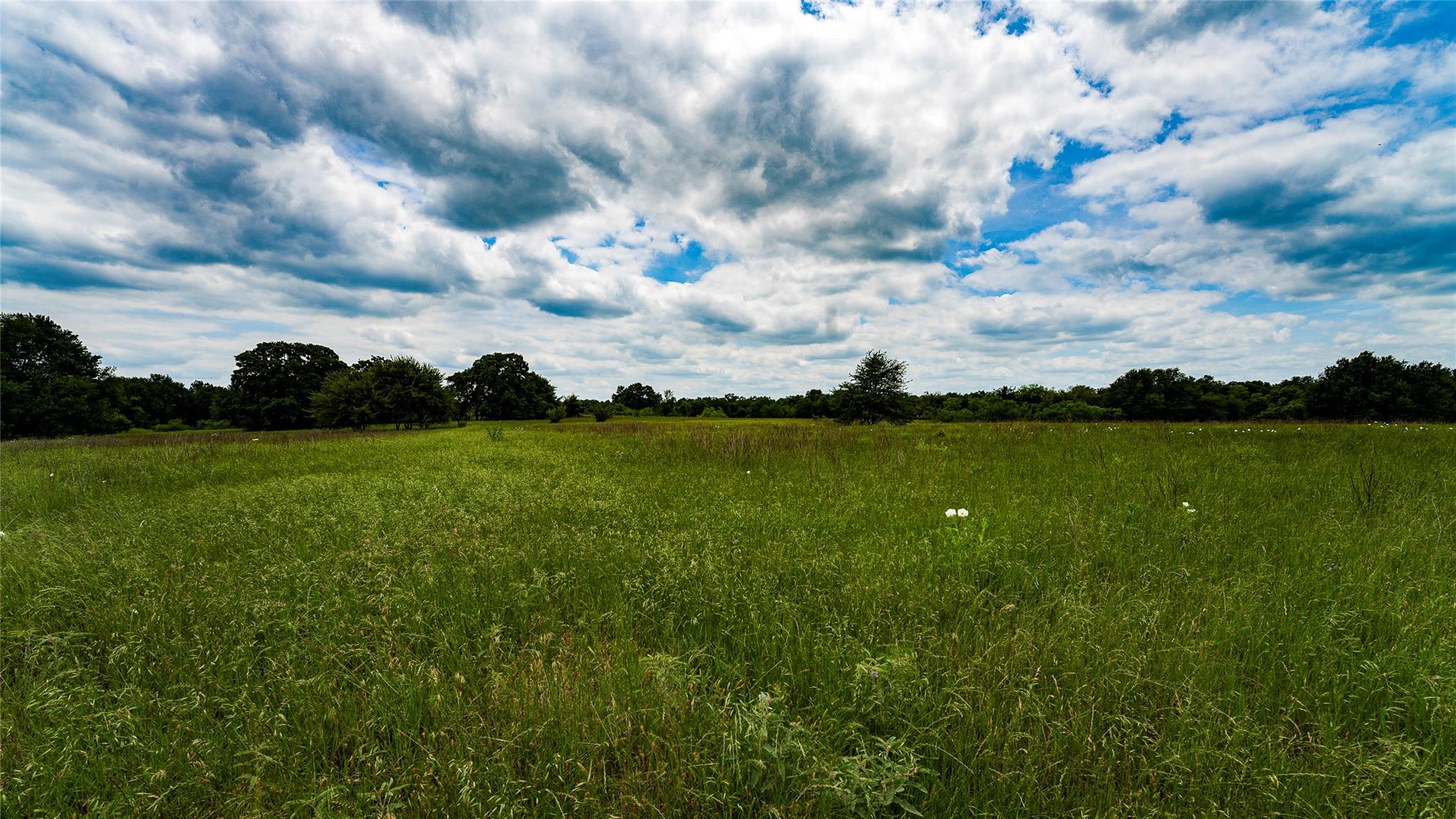 ESMT County Road 302, Rockdale, TX 78947