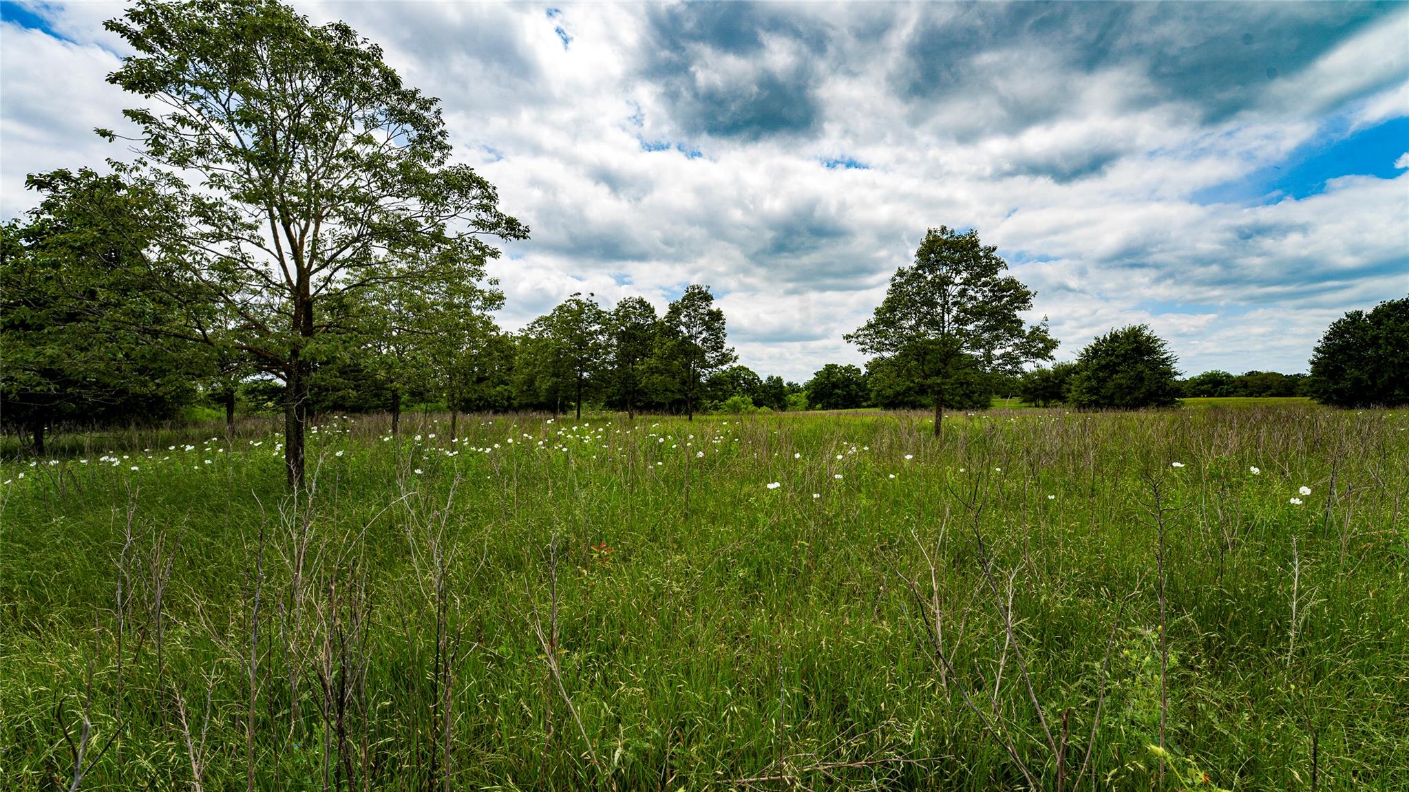 ESMT County Road 302, Rockdale, TX 78947