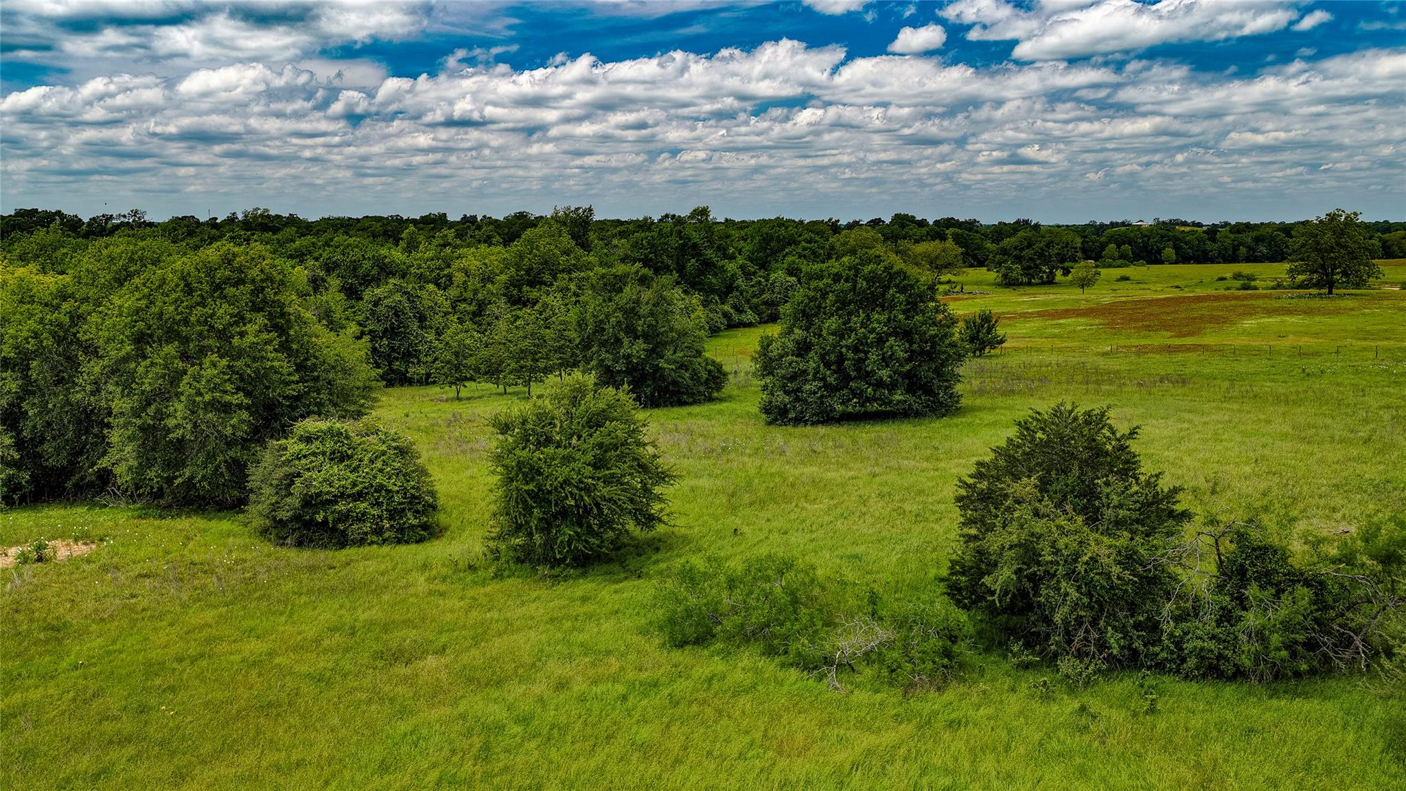 ESMT County Road 302, Rockdale, TX 78947