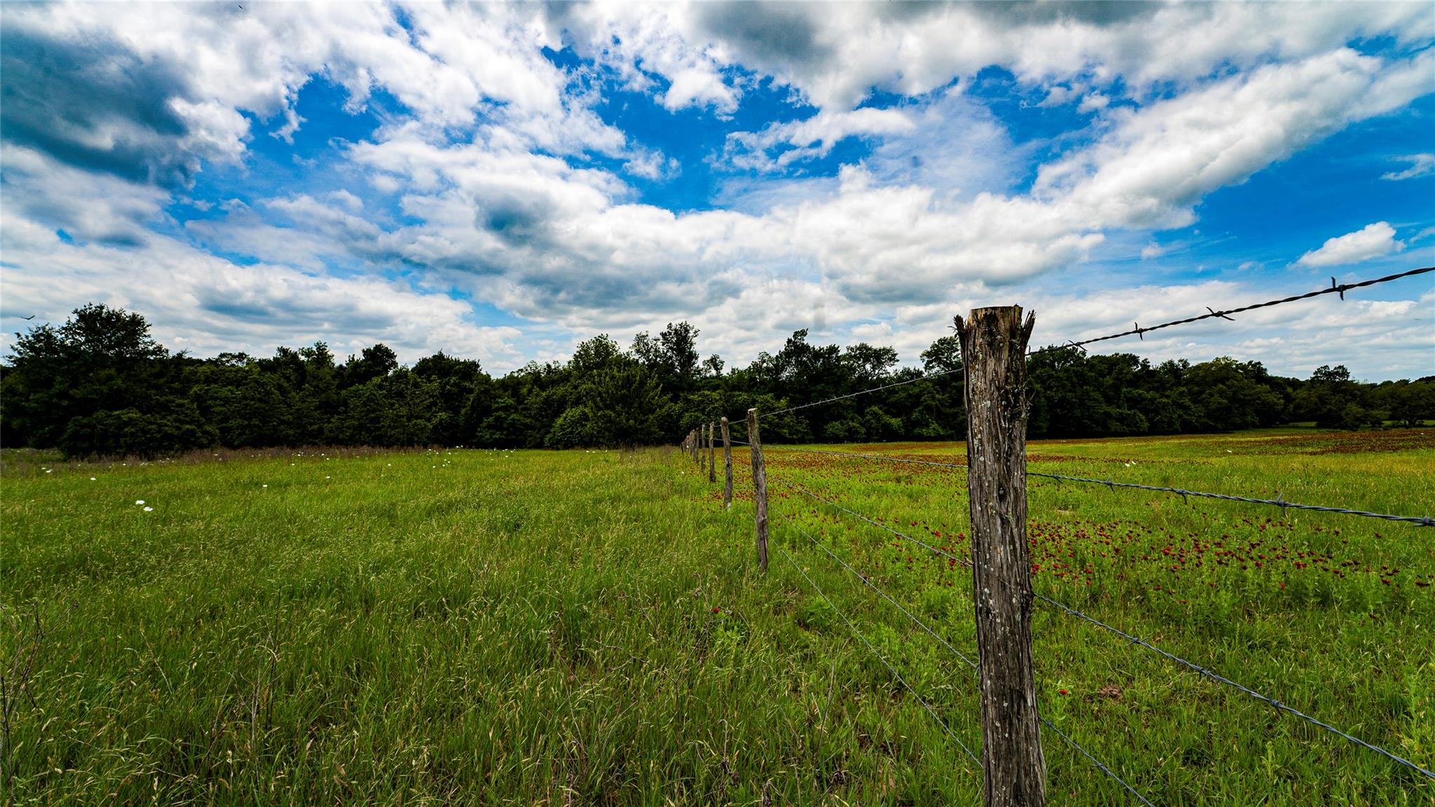 ESMT County Road 302, Rockdale, TX 78947