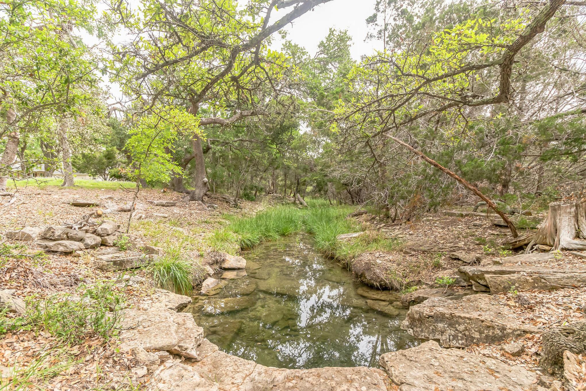 10905 W Cave Blvd, Dripping Springs, TX 78620