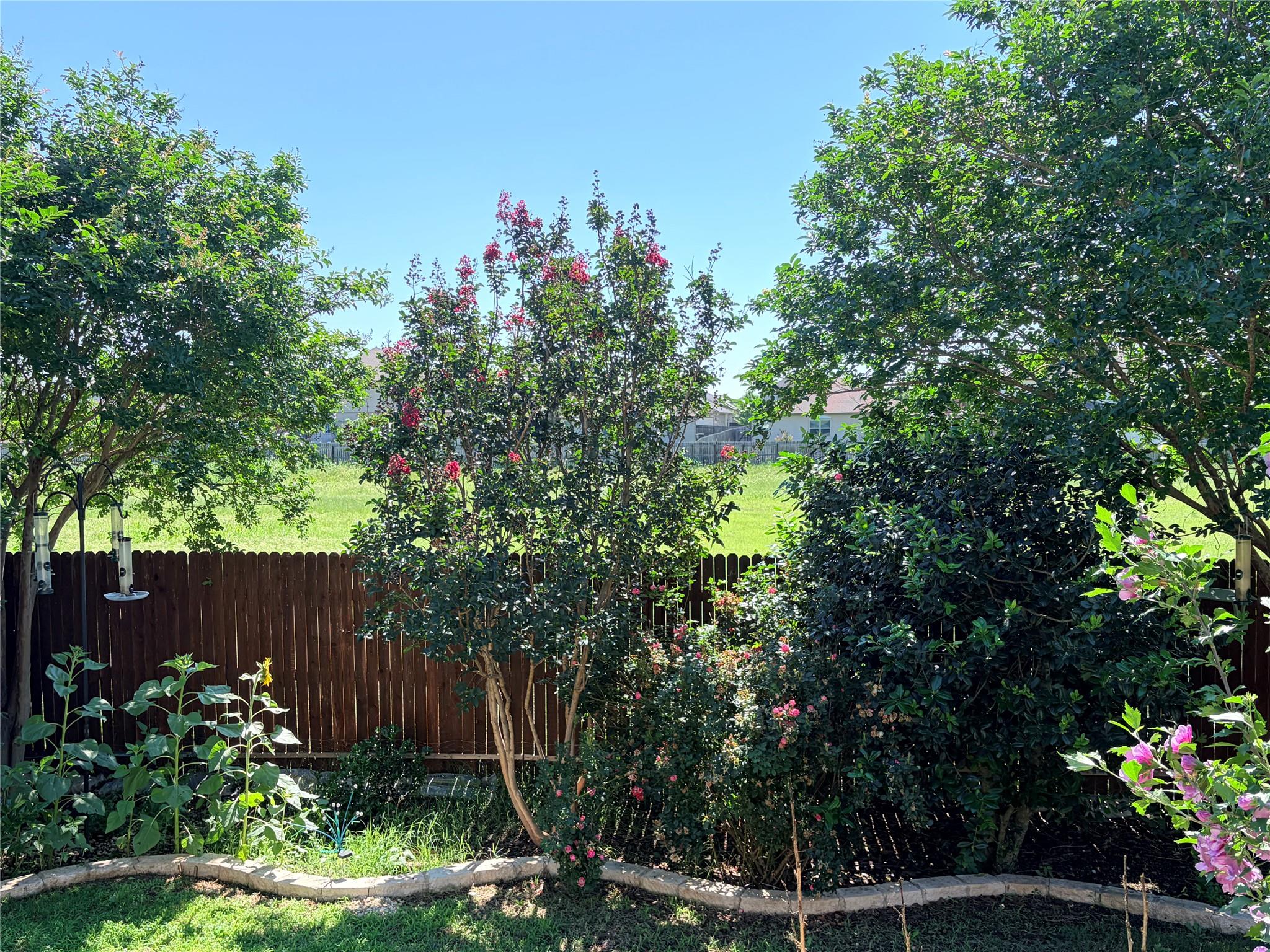 1313 Fawn Lily Dr, Temple, TX 76502