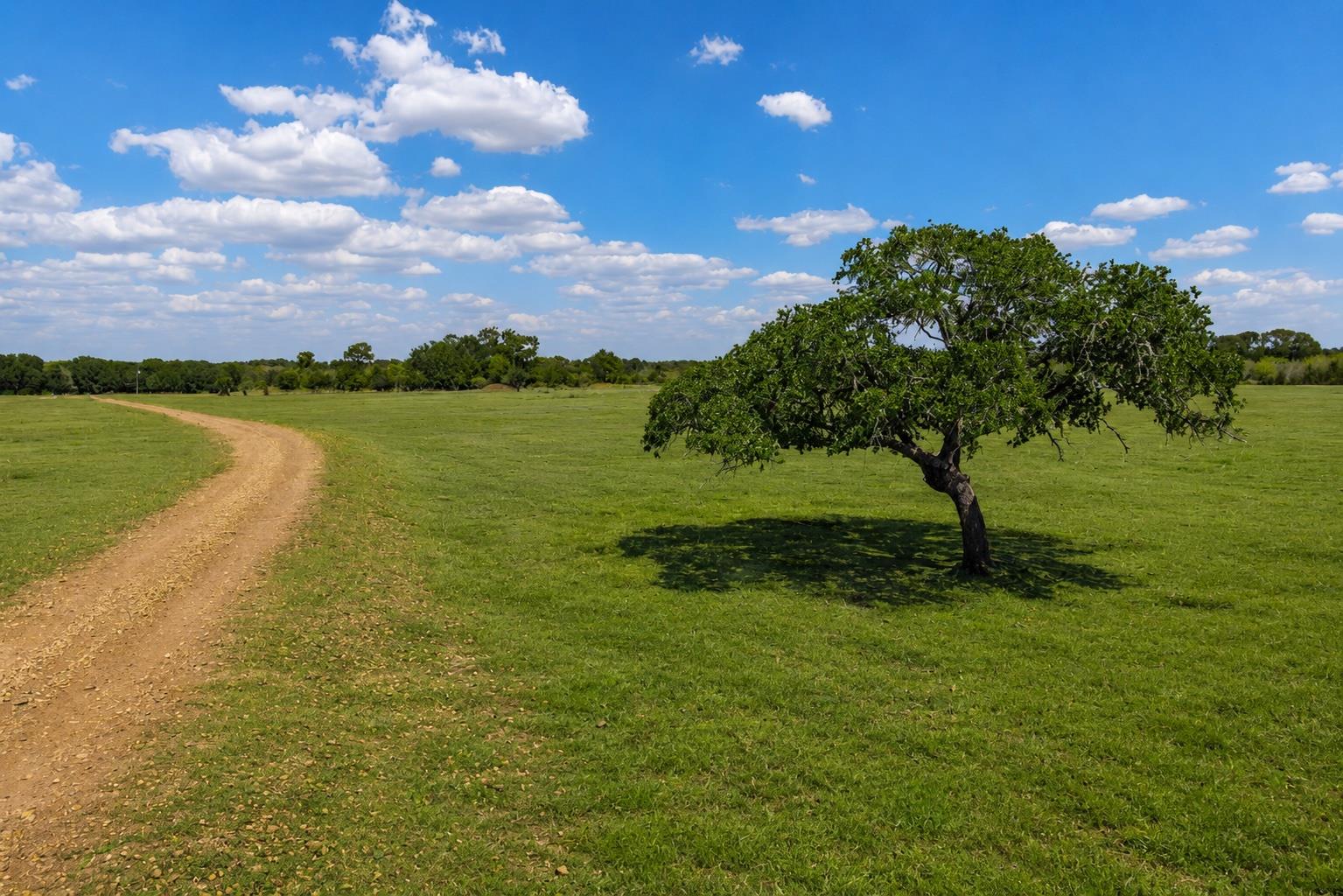 3995 COUNTY ROAD 405, Lexington, TX 78947