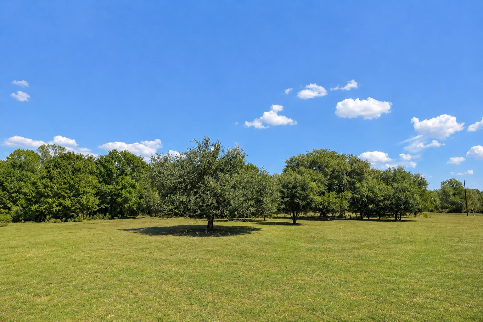 3995 COUNTY ROAD 405, Lexington, TX 78947