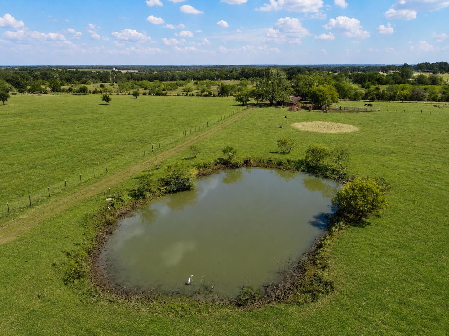 3995 COUNTY ROAD 405, Lexington, TX 78947