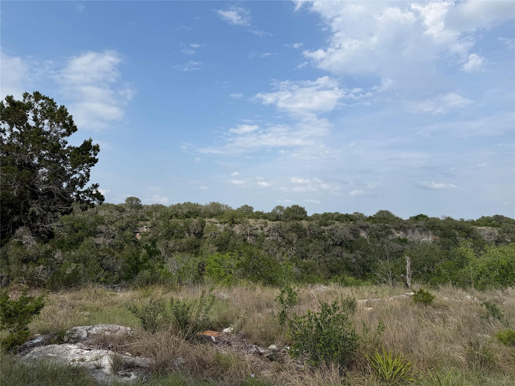 8219 Hammetts Crossing Xing, Dripping Springs, TX 78663