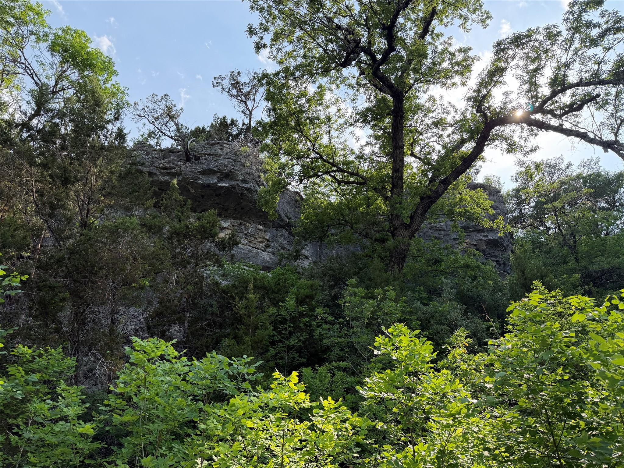 8219 Hammetts Crossing Xing, Dripping Springs, TX 78663