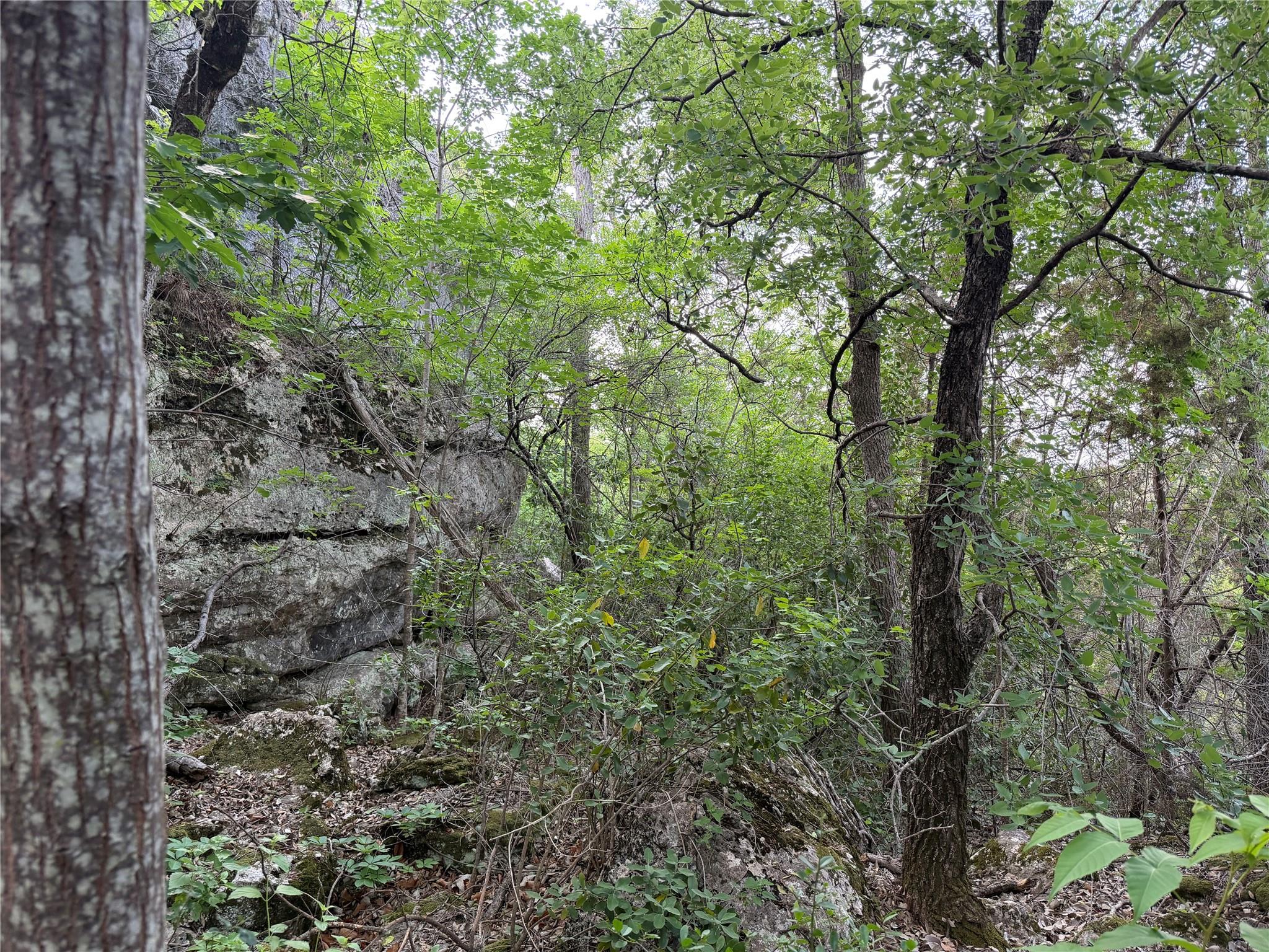 8219 Hammetts Crossing Xing, Dripping Springs, TX 78663