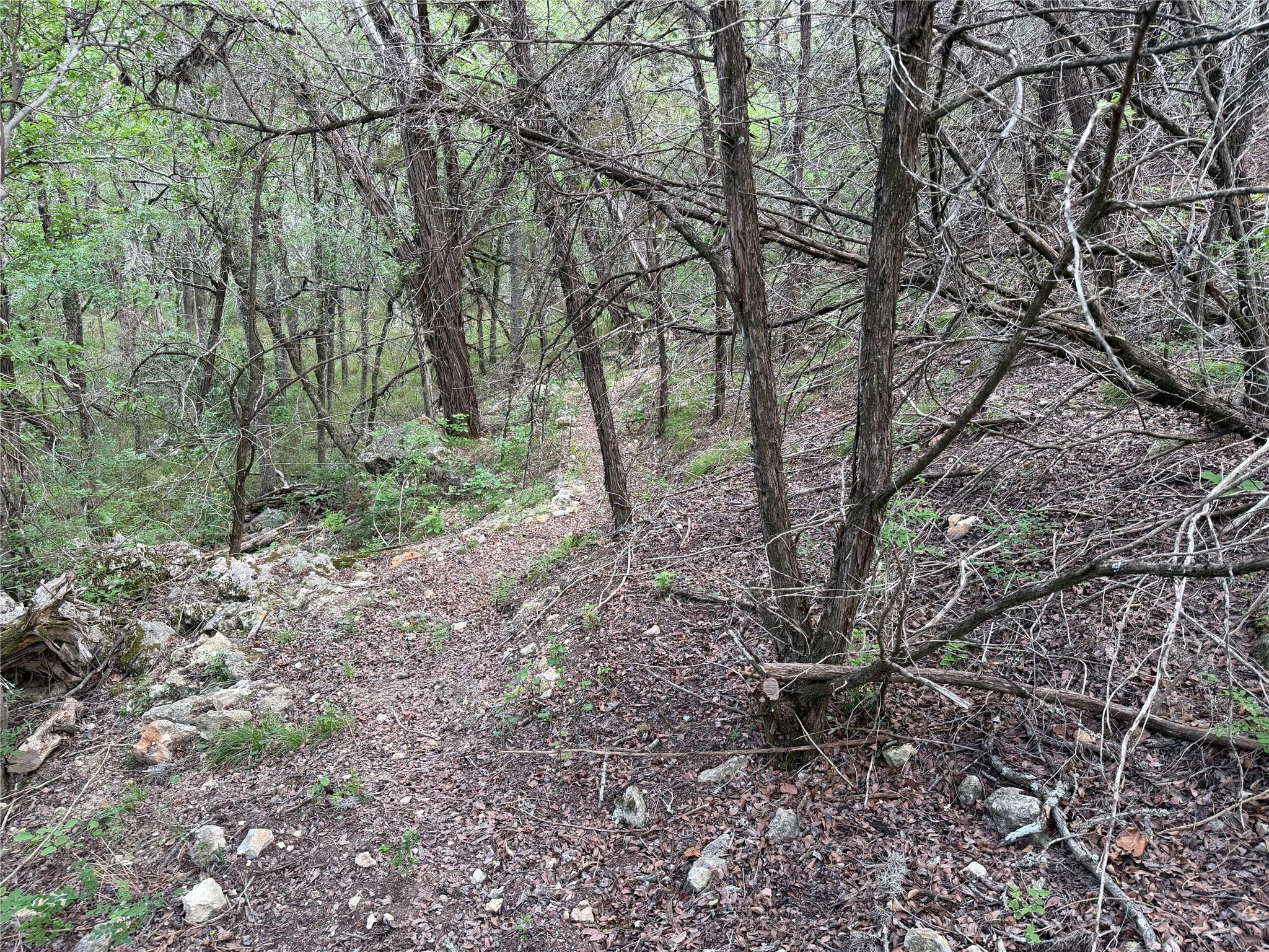 8219 Hammetts Crossing Xing, Dripping Springs, TX 78663