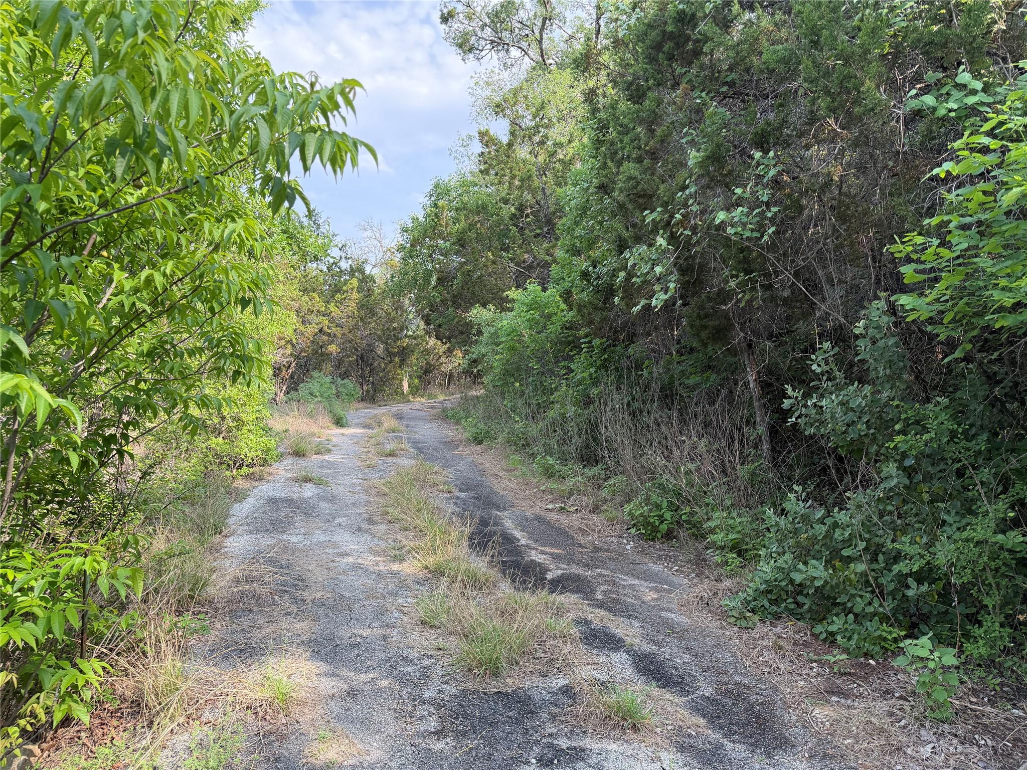 8219 Hammetts Crossing Xing, Dripping Springs, TX 78663
