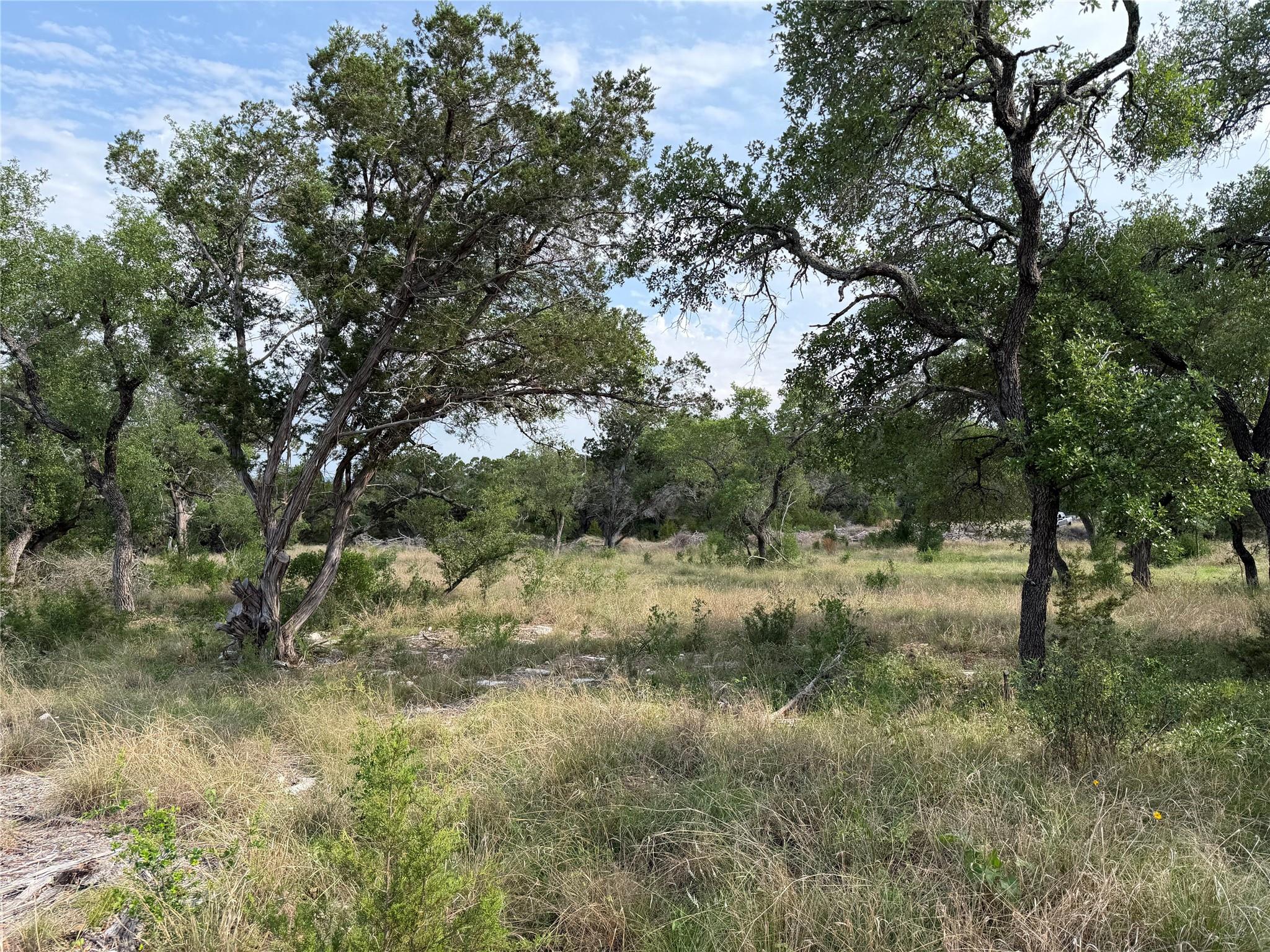 8219 Hammetts Crossing Xing, Dripping Springs, TX 78663