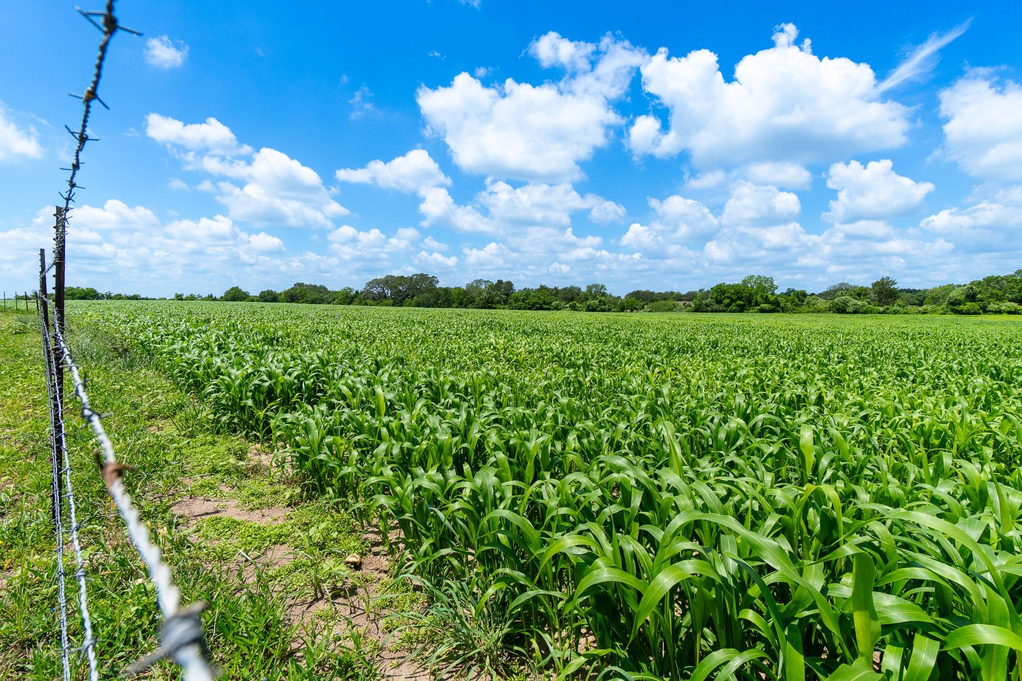 5018 Wolters Rd, Schulenburg, TX 78956