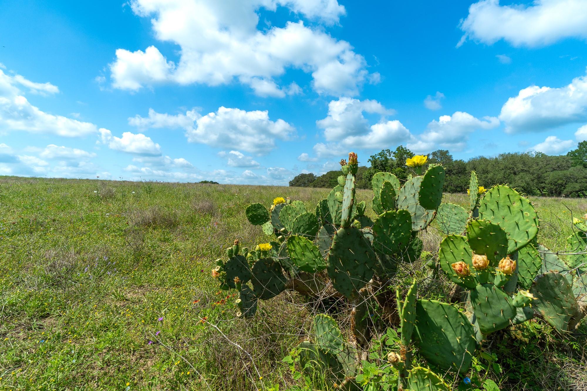 5018 Wolters Rd, Schulenburg, TX 78956