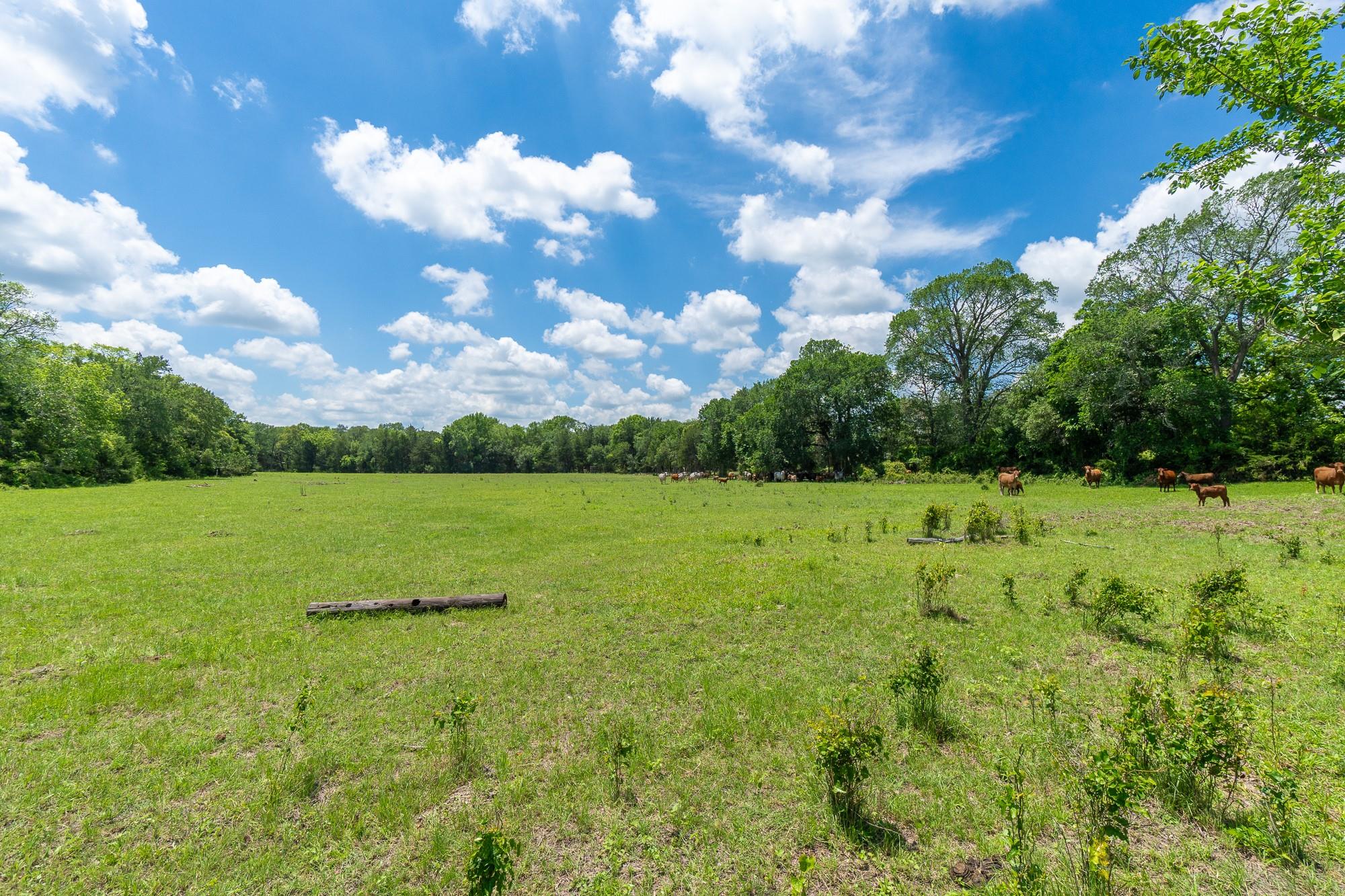 5018 Wolters Rd, Schulenburg, TX 78956