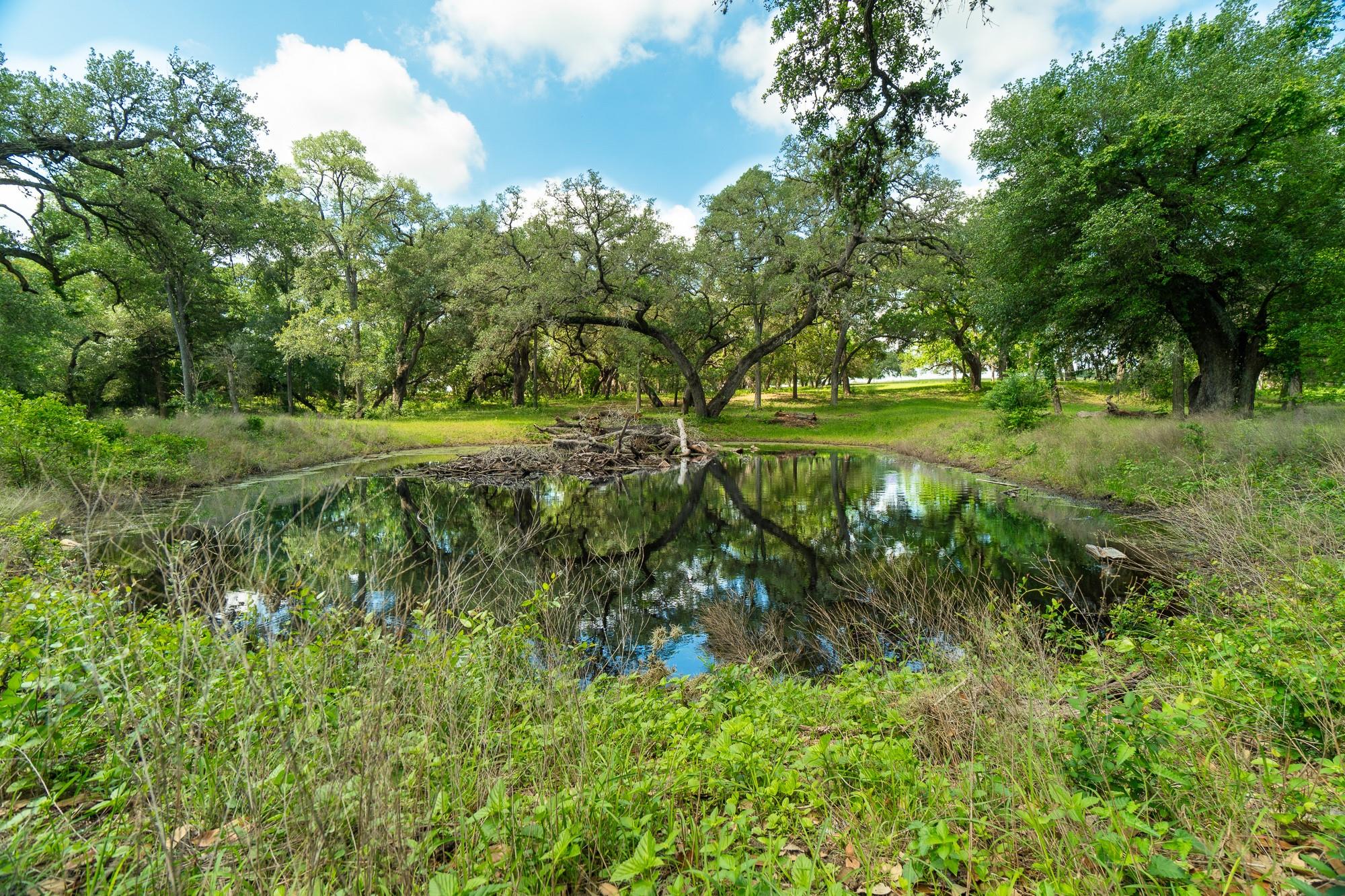 5018 Wolters Rd, Schulenburg, TX 78956